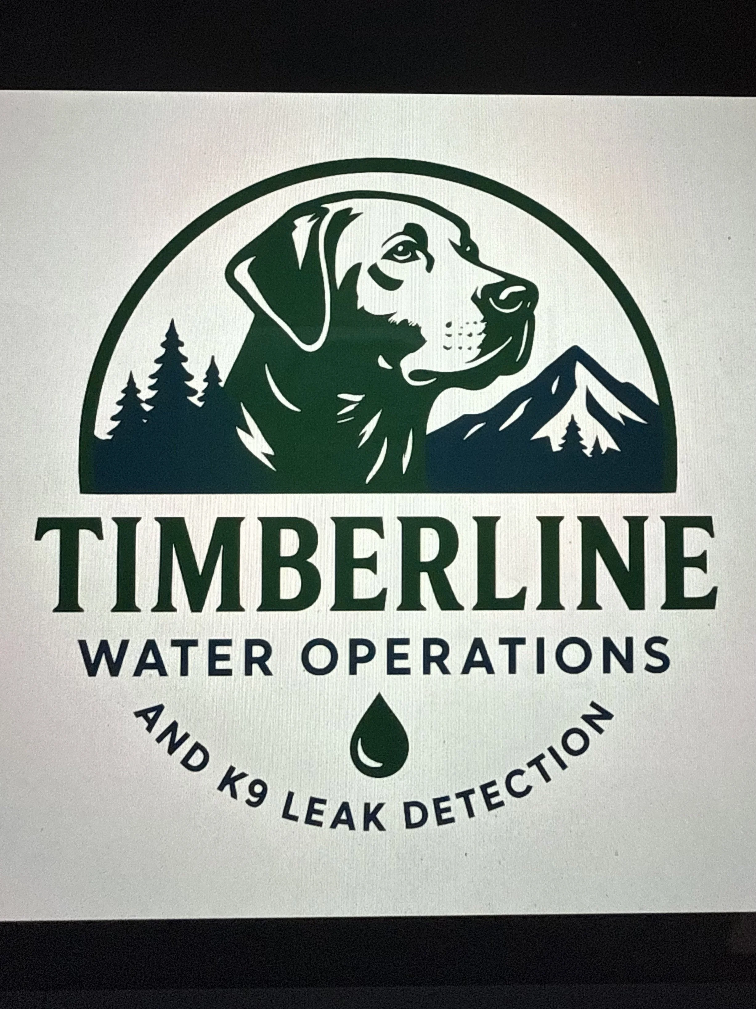 Logo of Timberline Water Operations featuring a mountain and a dog's head, with text indicating leak detection and related services.