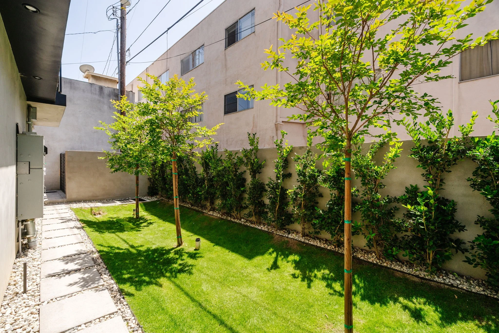 sideyard.jpg