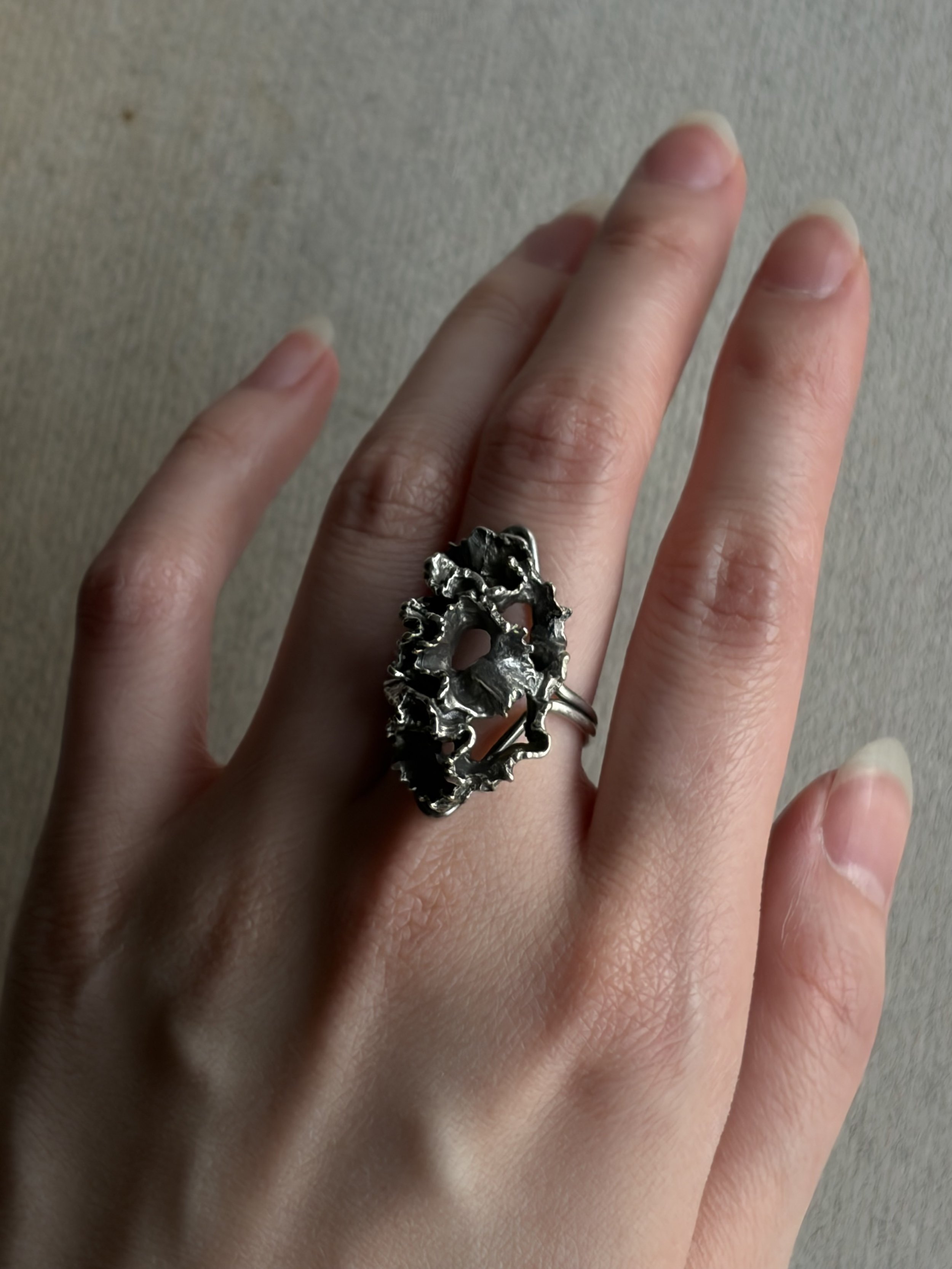 IMG_1488.jpeg