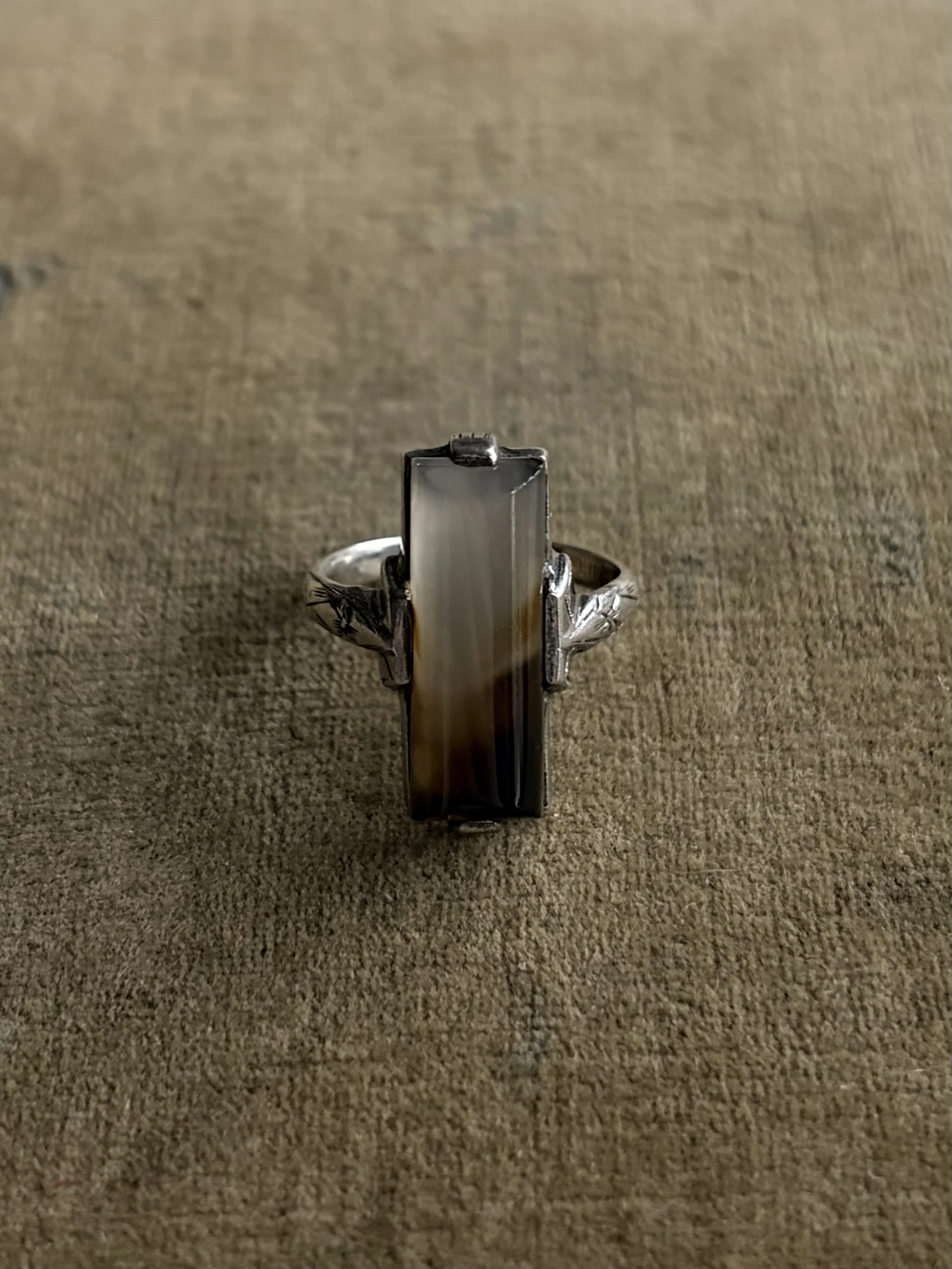 IMG_2181.jpeg