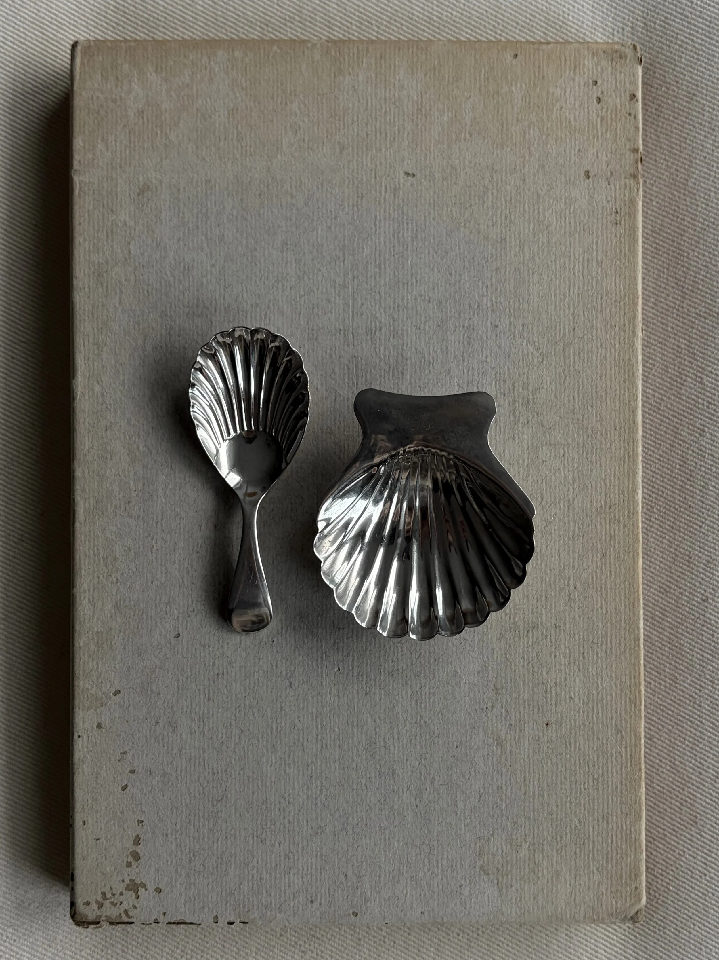 IMG_3495.jpeg