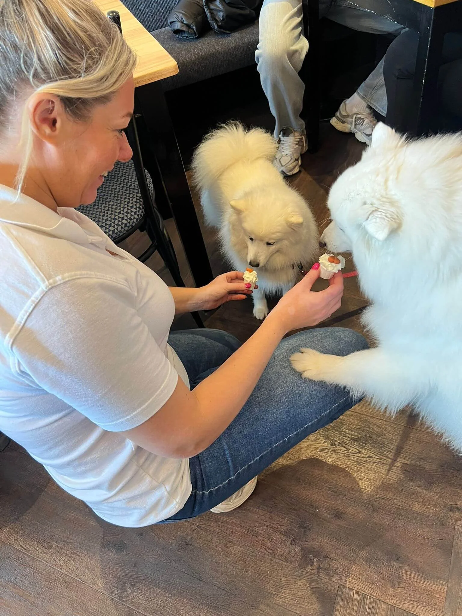 A woman sitting on the floor in a cafe, holding a small cupcake with cream and a small fruit topping, offering it to a large white fluffy dog. The dog is sitting, facing the woman, and the woman's head is close to the dog.