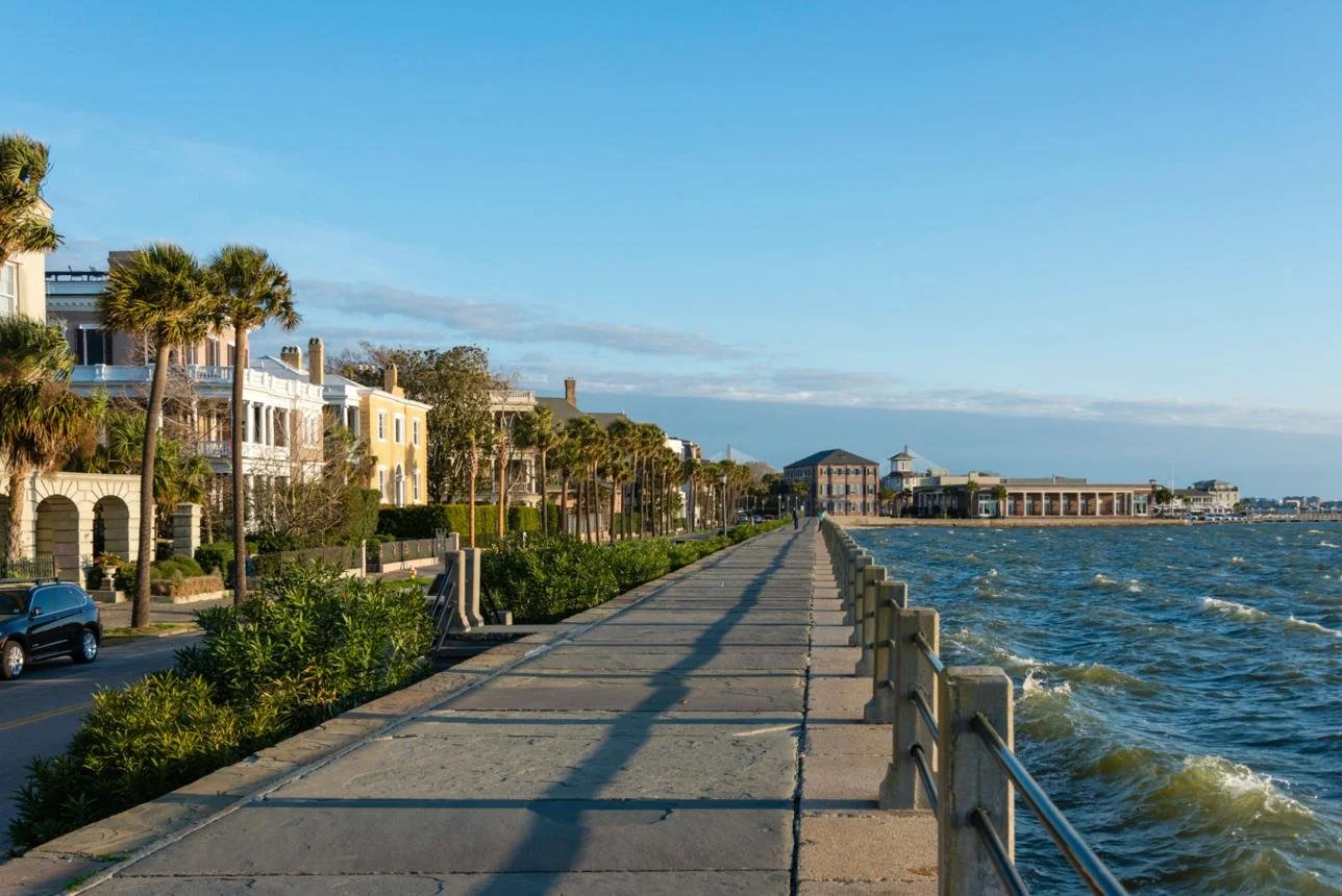 A seaside promenade with palm trees, colorful houses, and a view of the water with small waves.