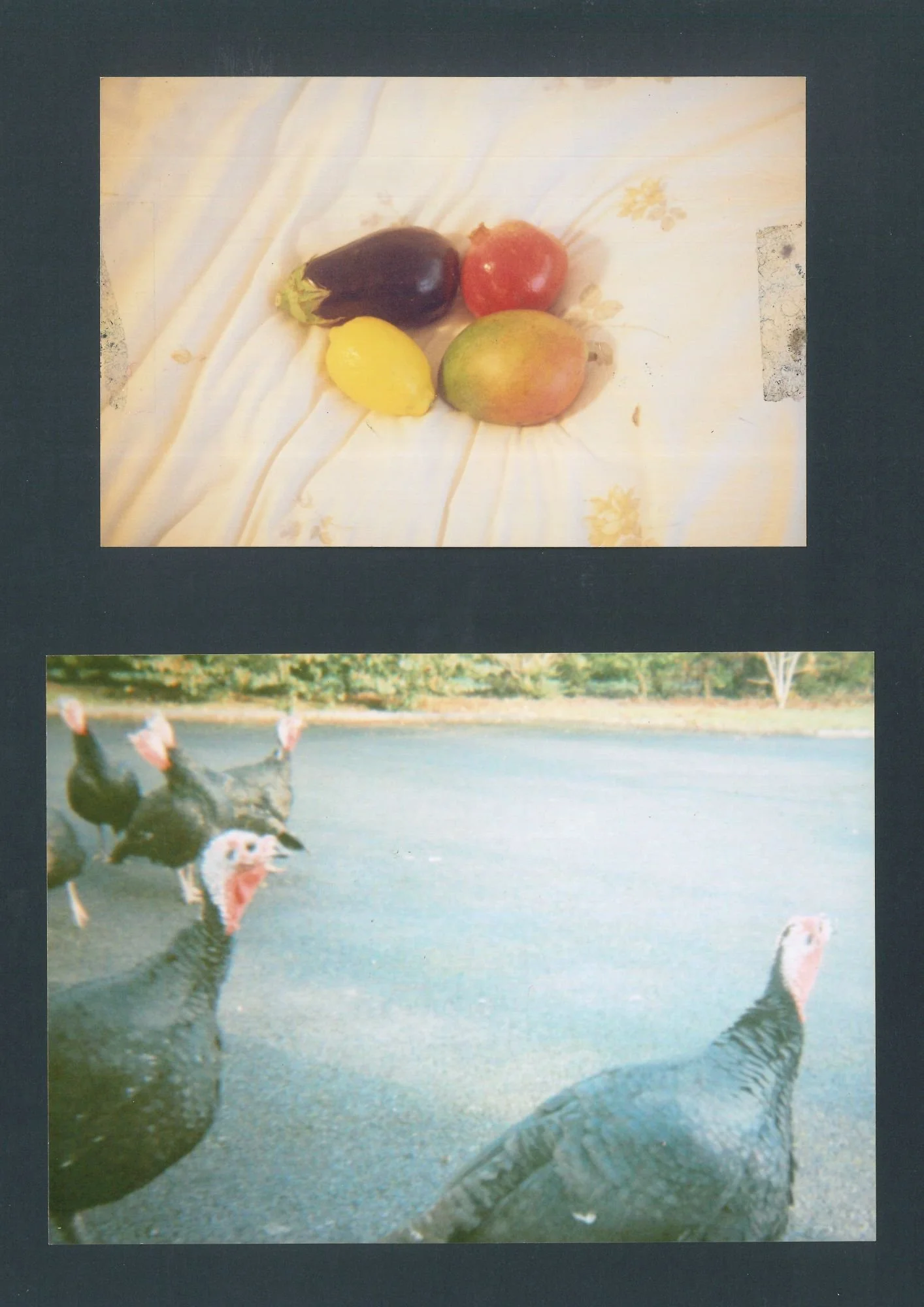 fruit and turkeys.jpg