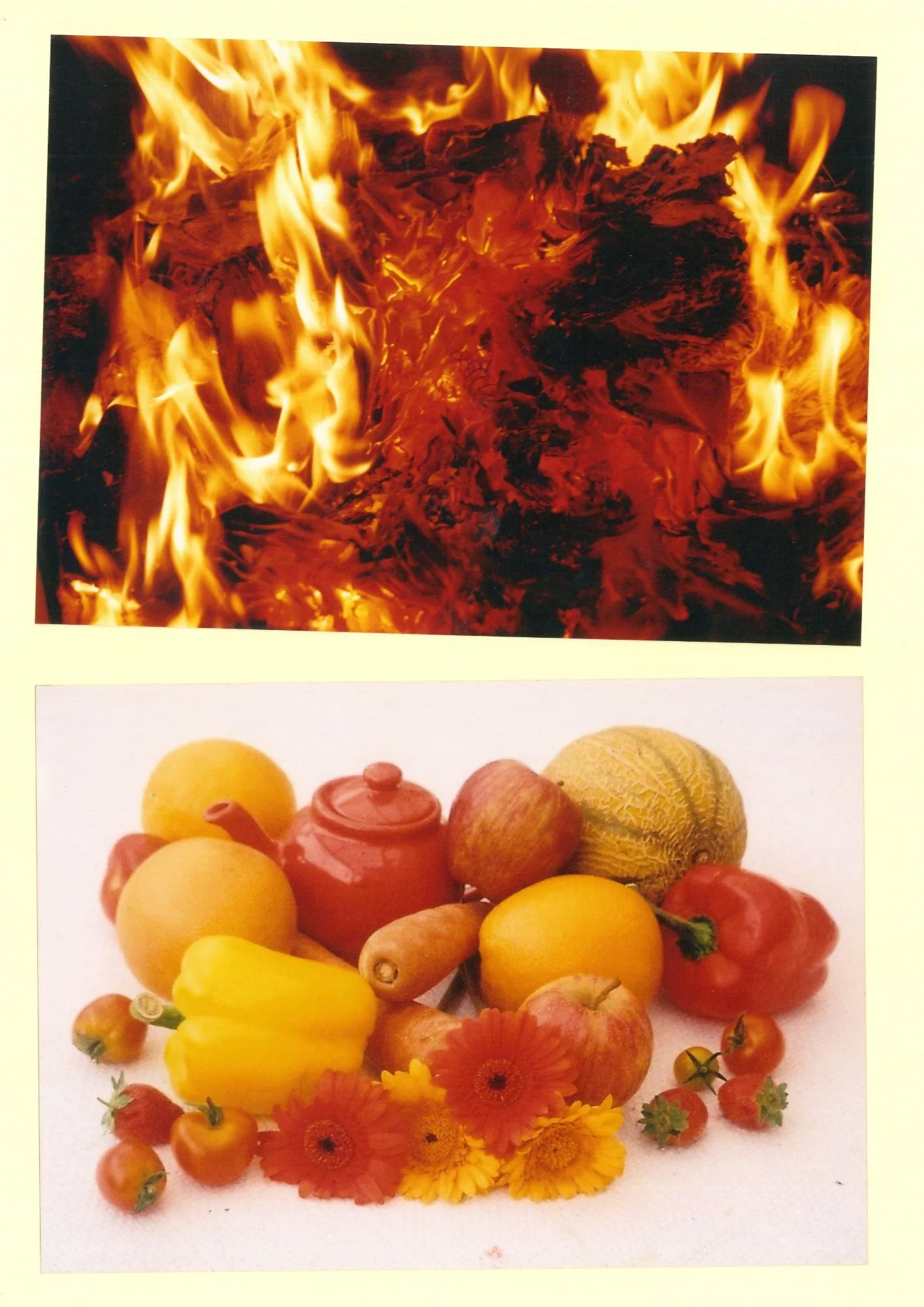 Fire and fruit.jpg