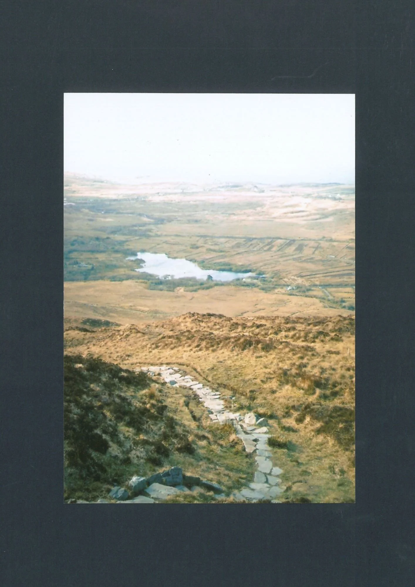diamond hill.jpg