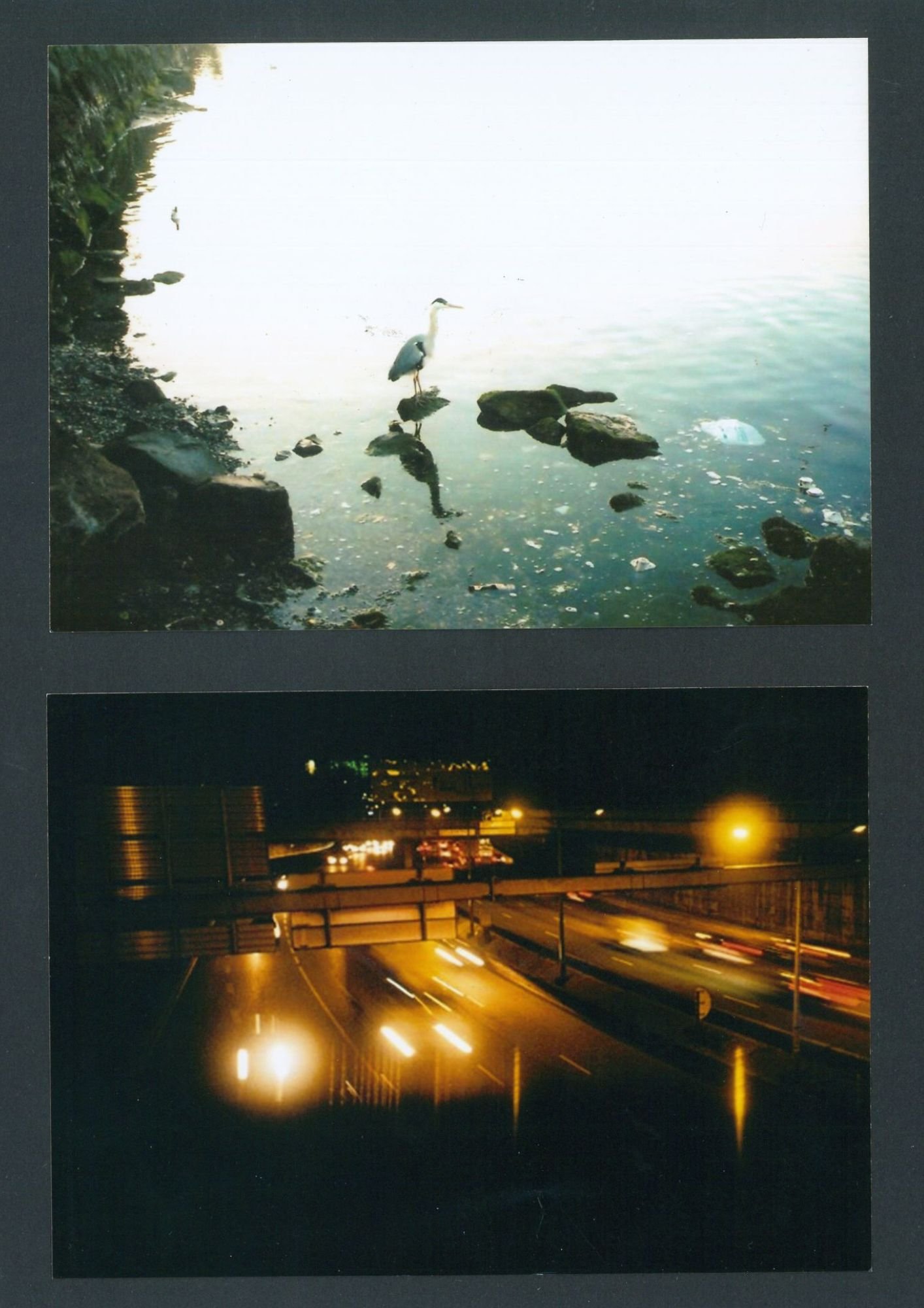 crane and car lights.jpg