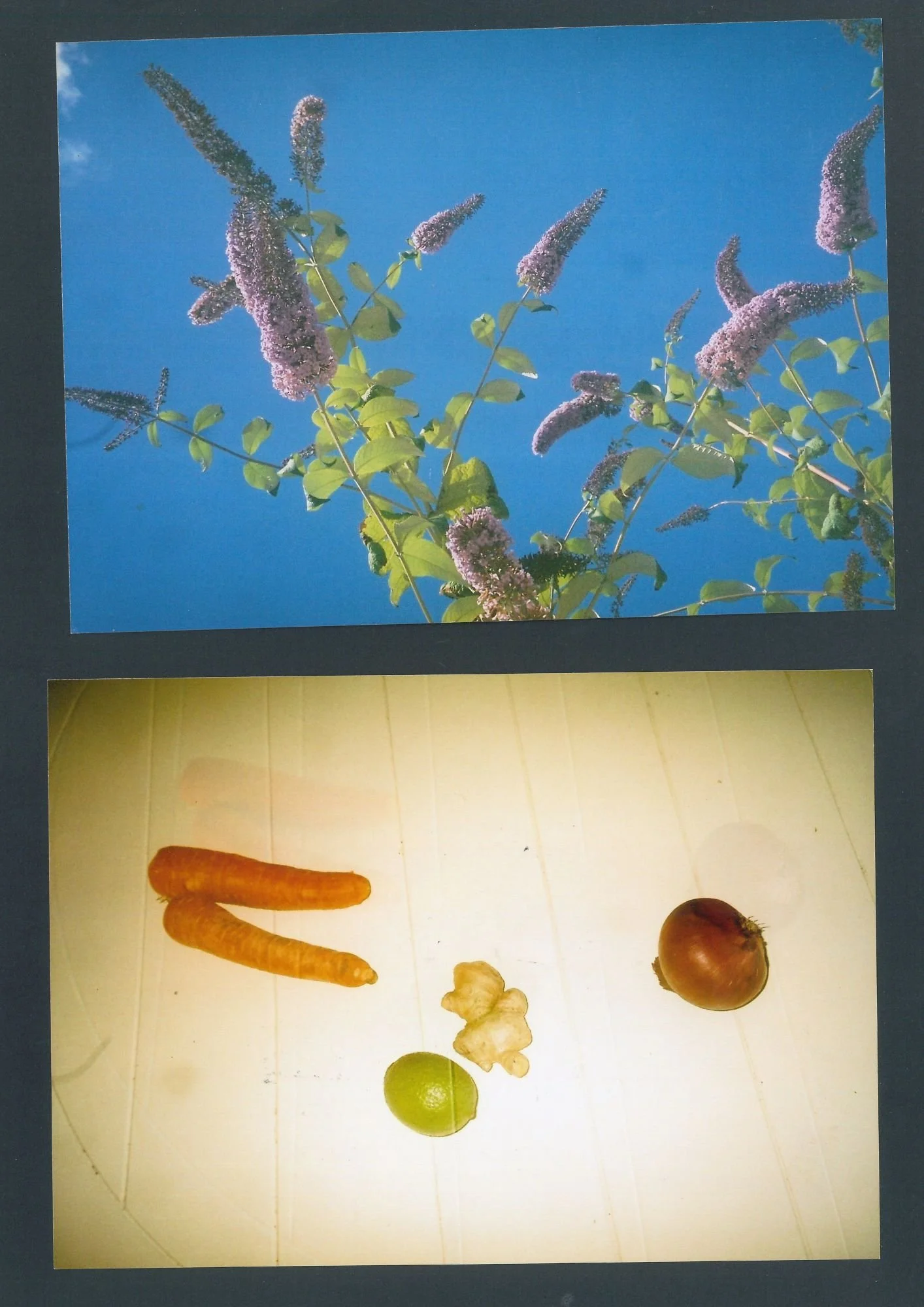buglea and veg.jpg