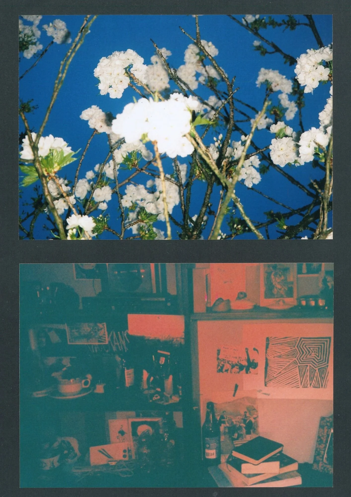 blue sky red room.jpg