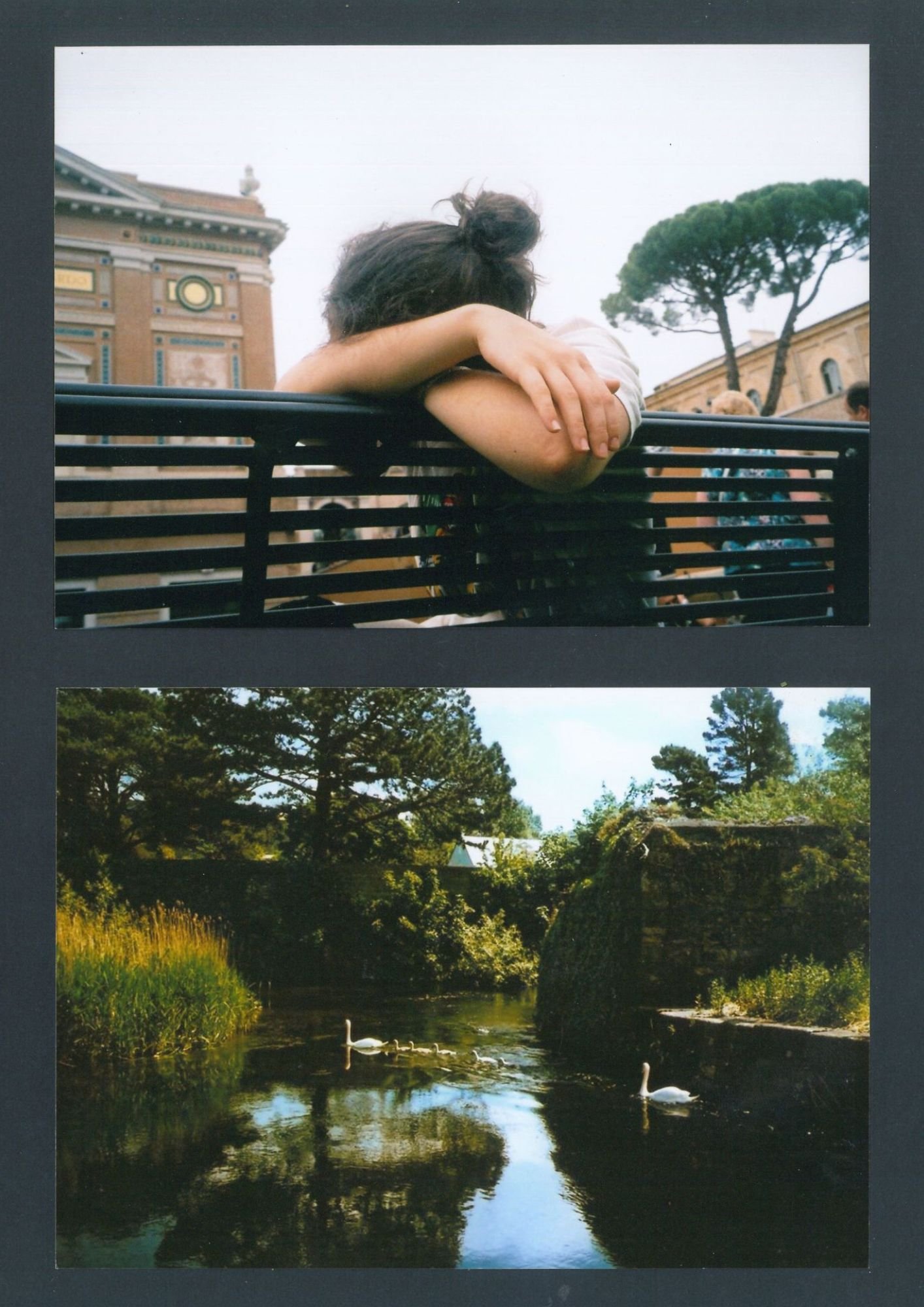Sophie and swans.jpg
