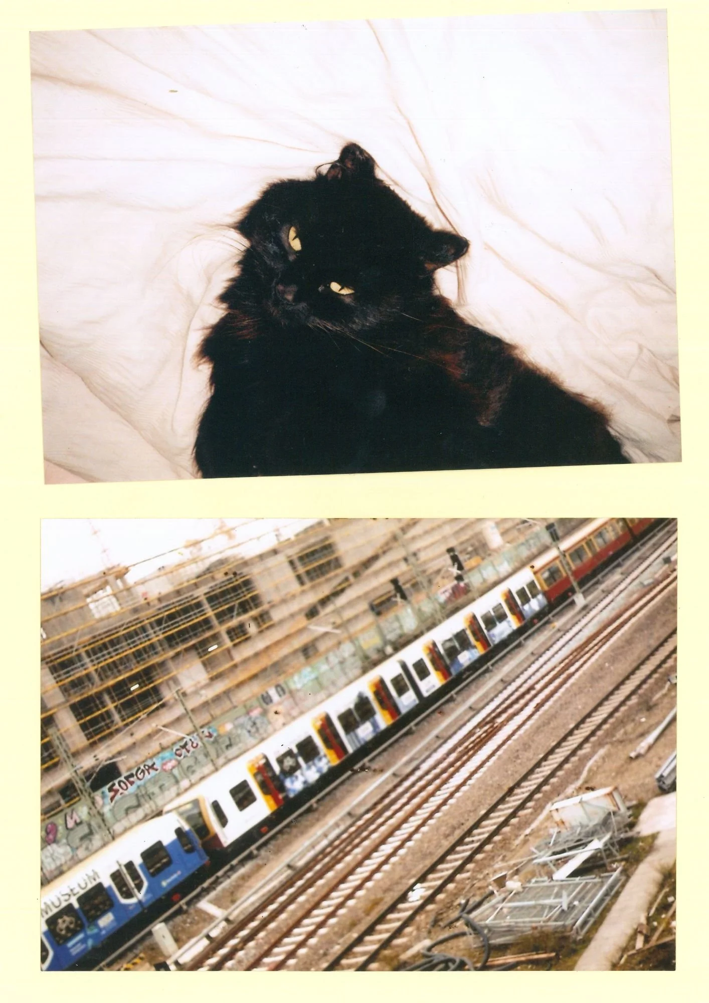 cat and train.jpg