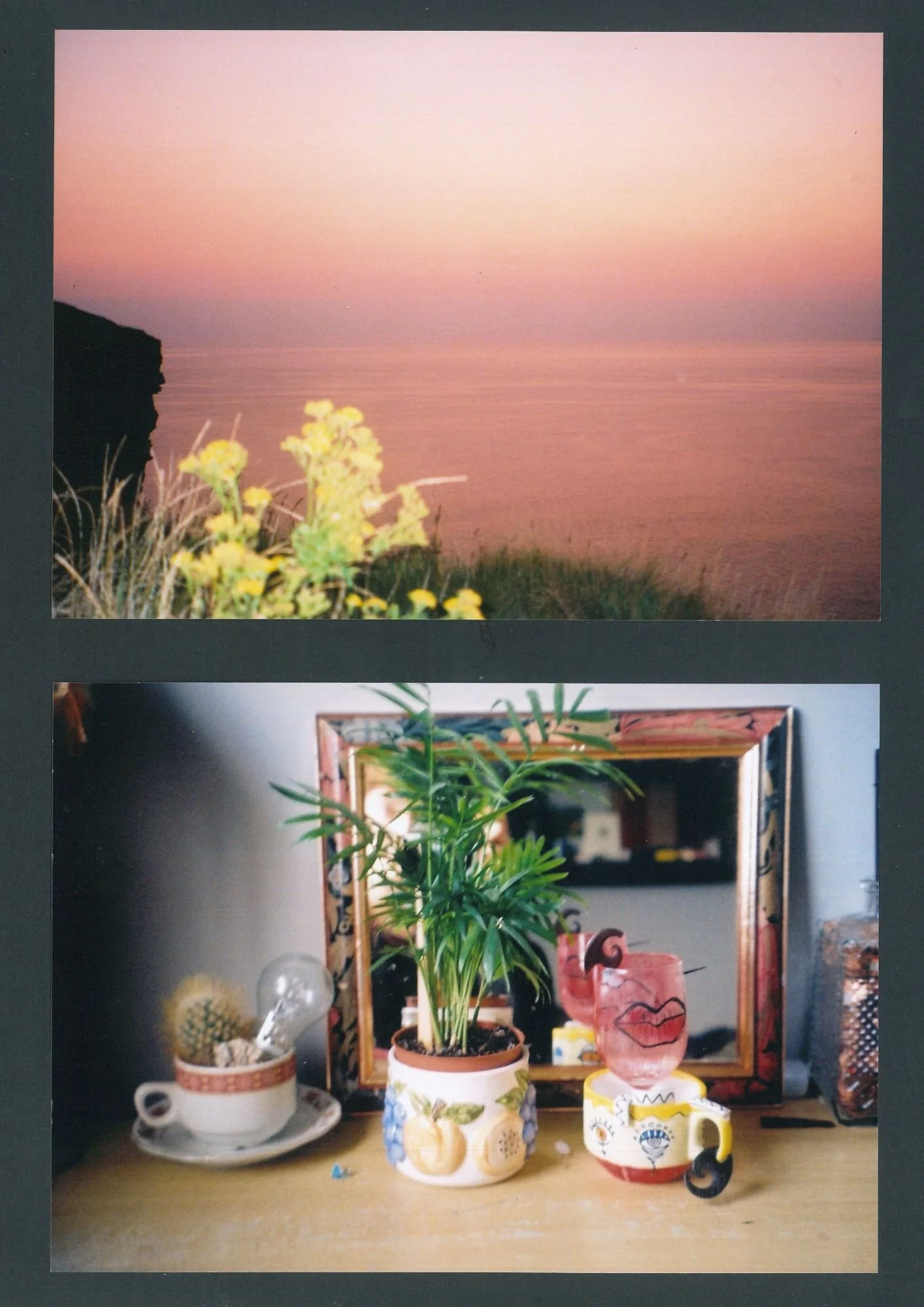 pink sky and flowerpot.jpg