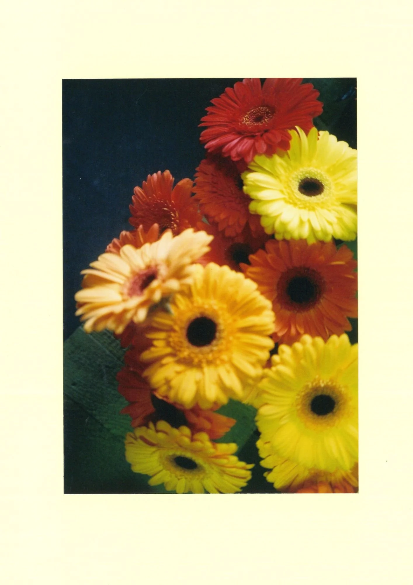 red and yellow flowers.jpg