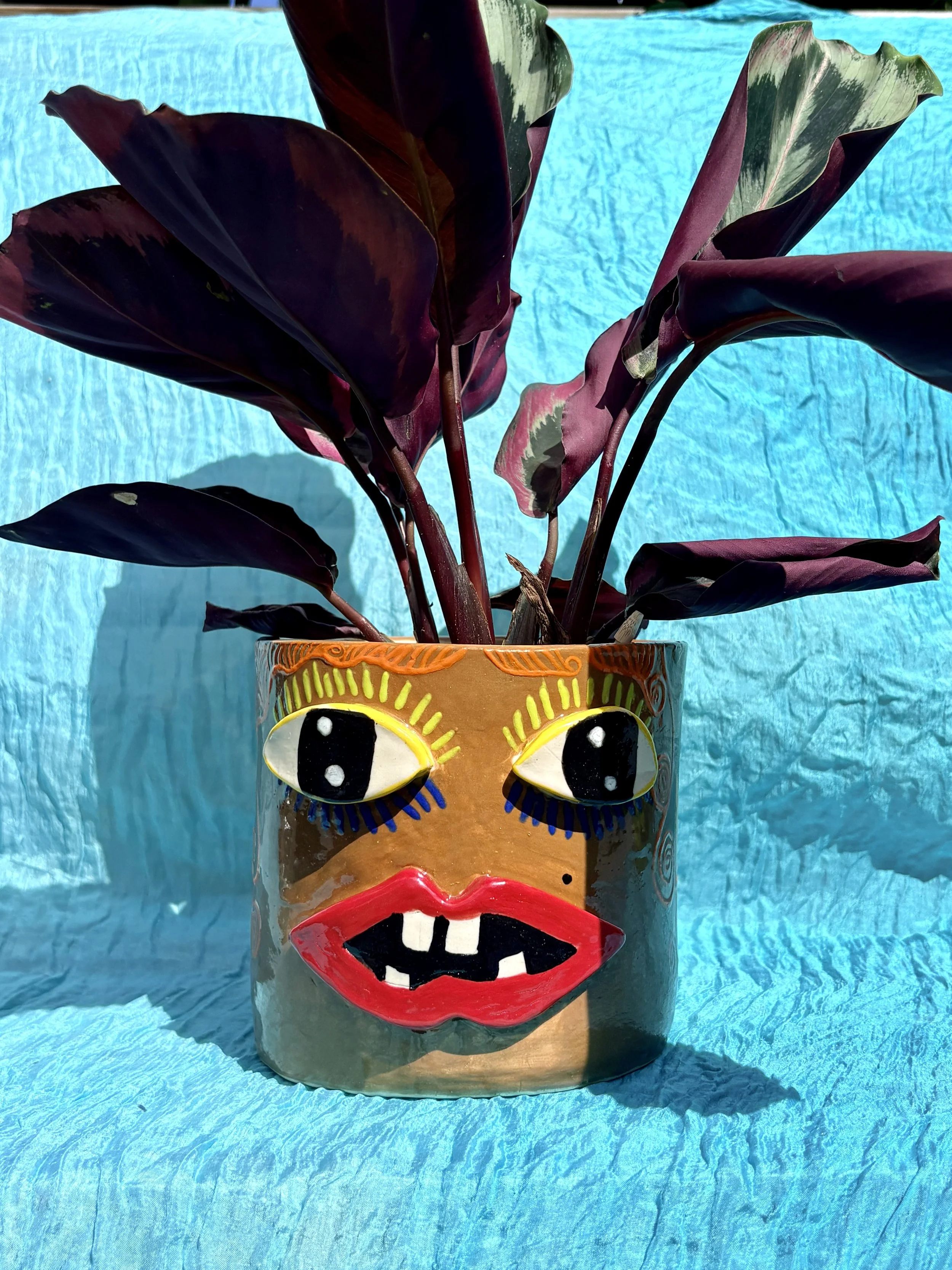 "Don't Touch My Hair" Ceramic Pot