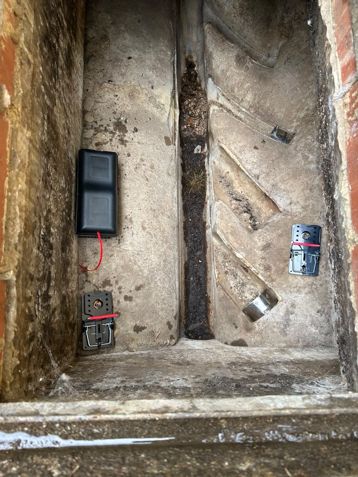 rat-control-drain-inspection-chamber.jpeg