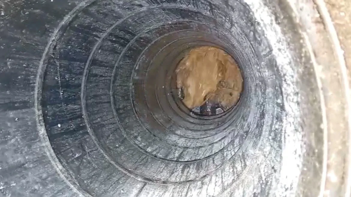 drain-chamber-after-clearance.jpeg
