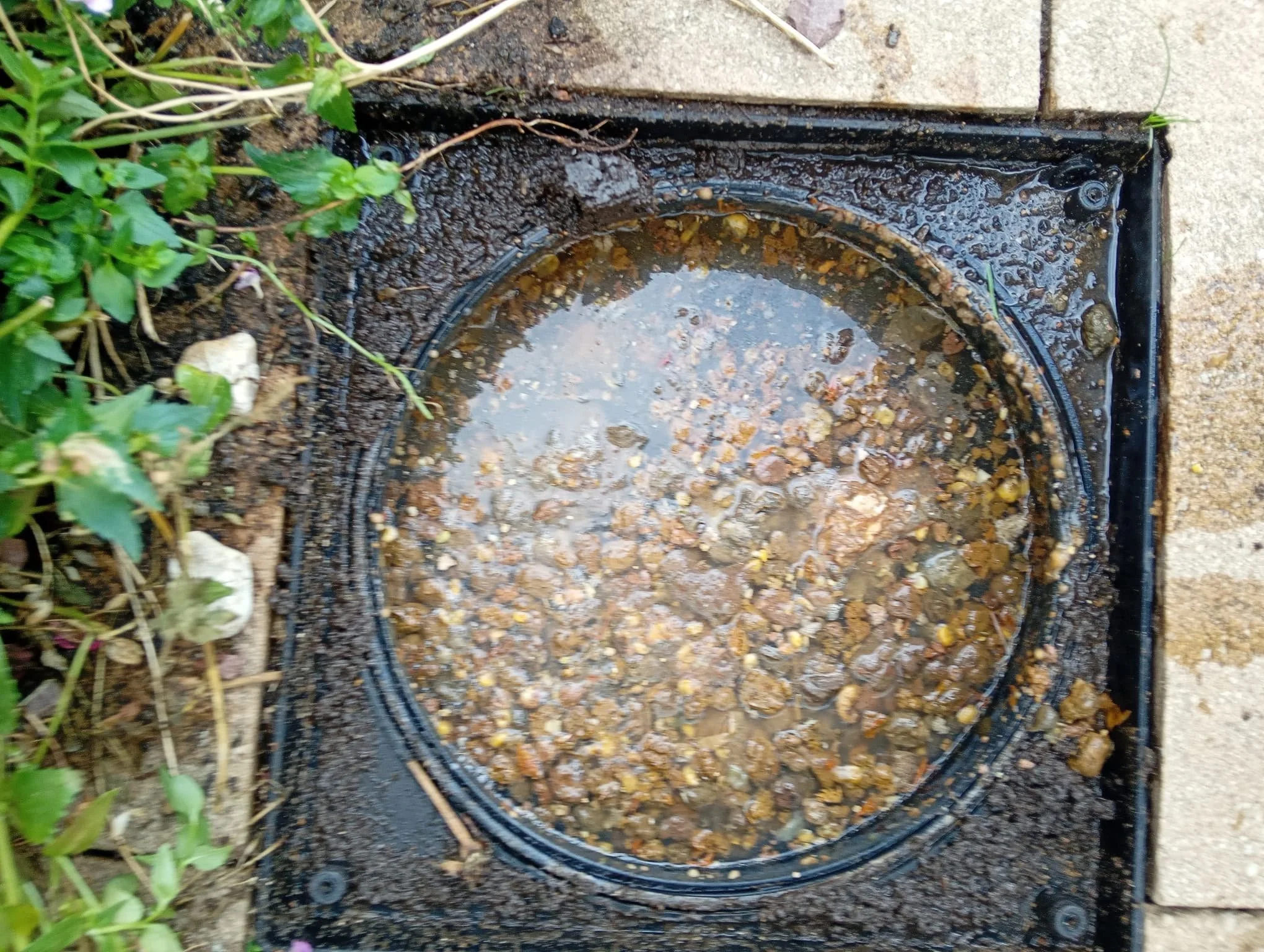 Blocked drain clearance: before and after