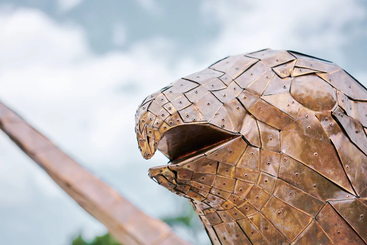 Copy of Lazerian-weaver-bird-darwen-market-square-public-art (33).jpg