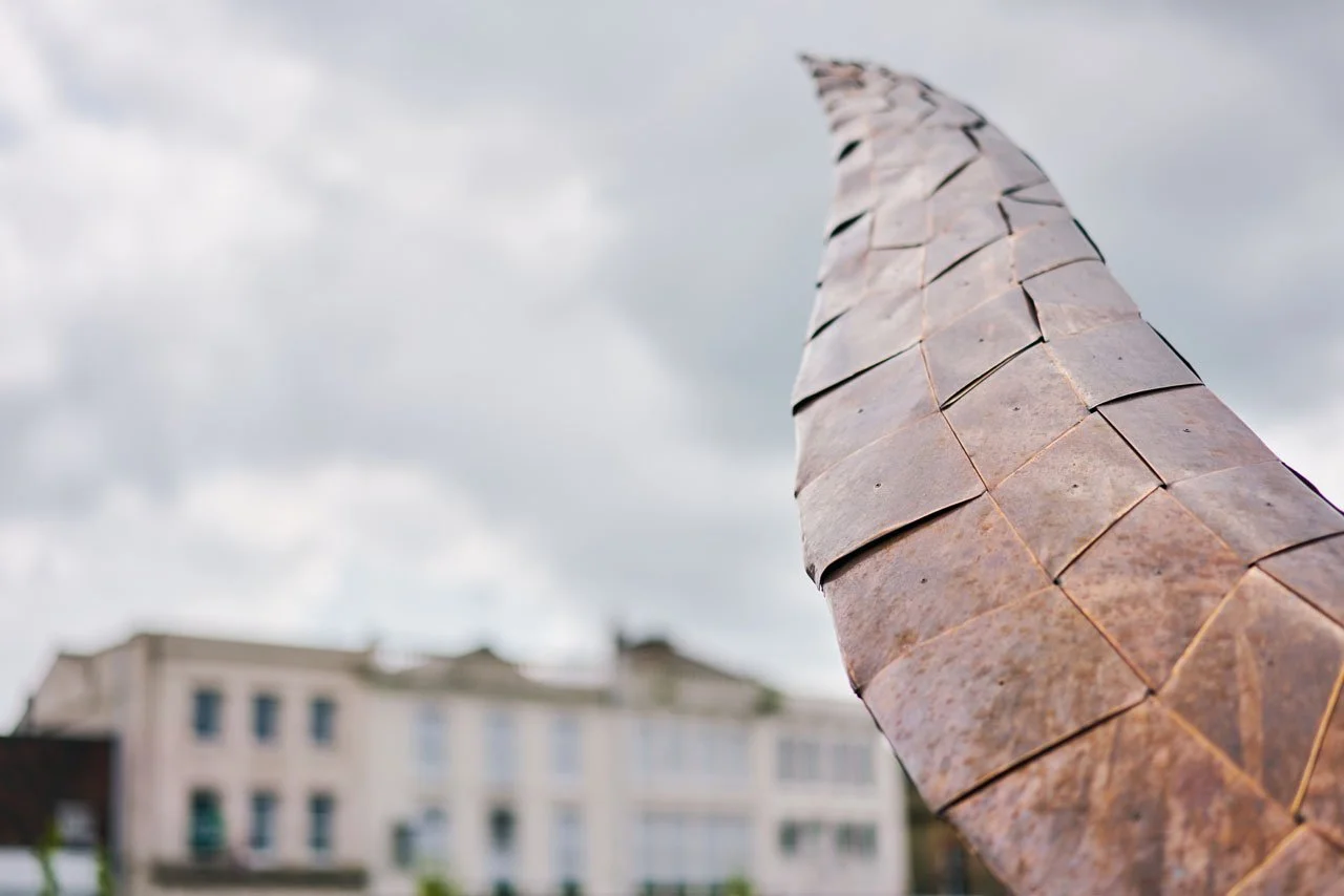 Lazerian-weaver-bird-darwen-market-square-public-art (27).jpg