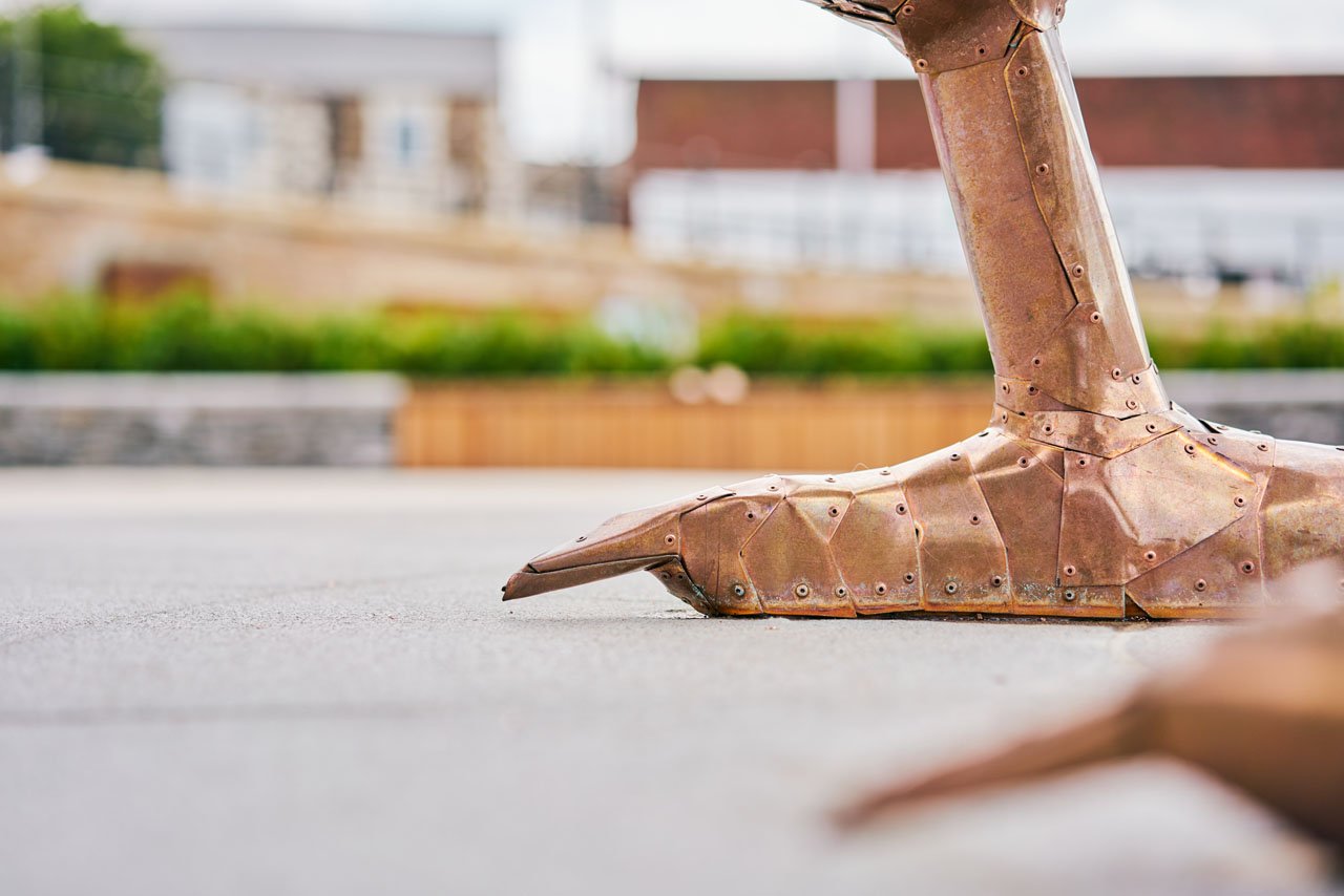 Lazerian-weaver-bird-darwen-market-square-public-art (30).jpg