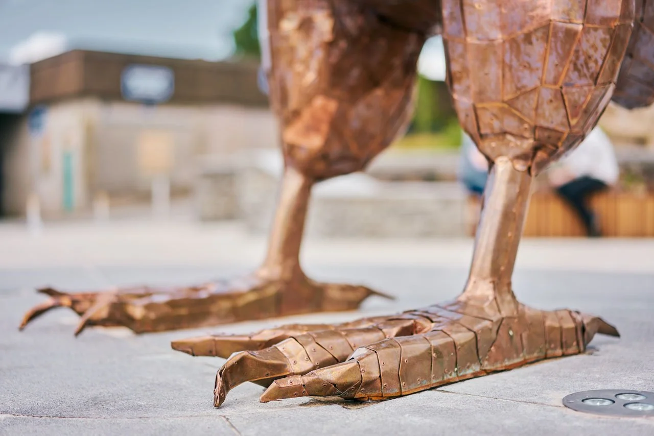 Lazerian-weaver-bird-darwen-market-square-public-art (22).jpg