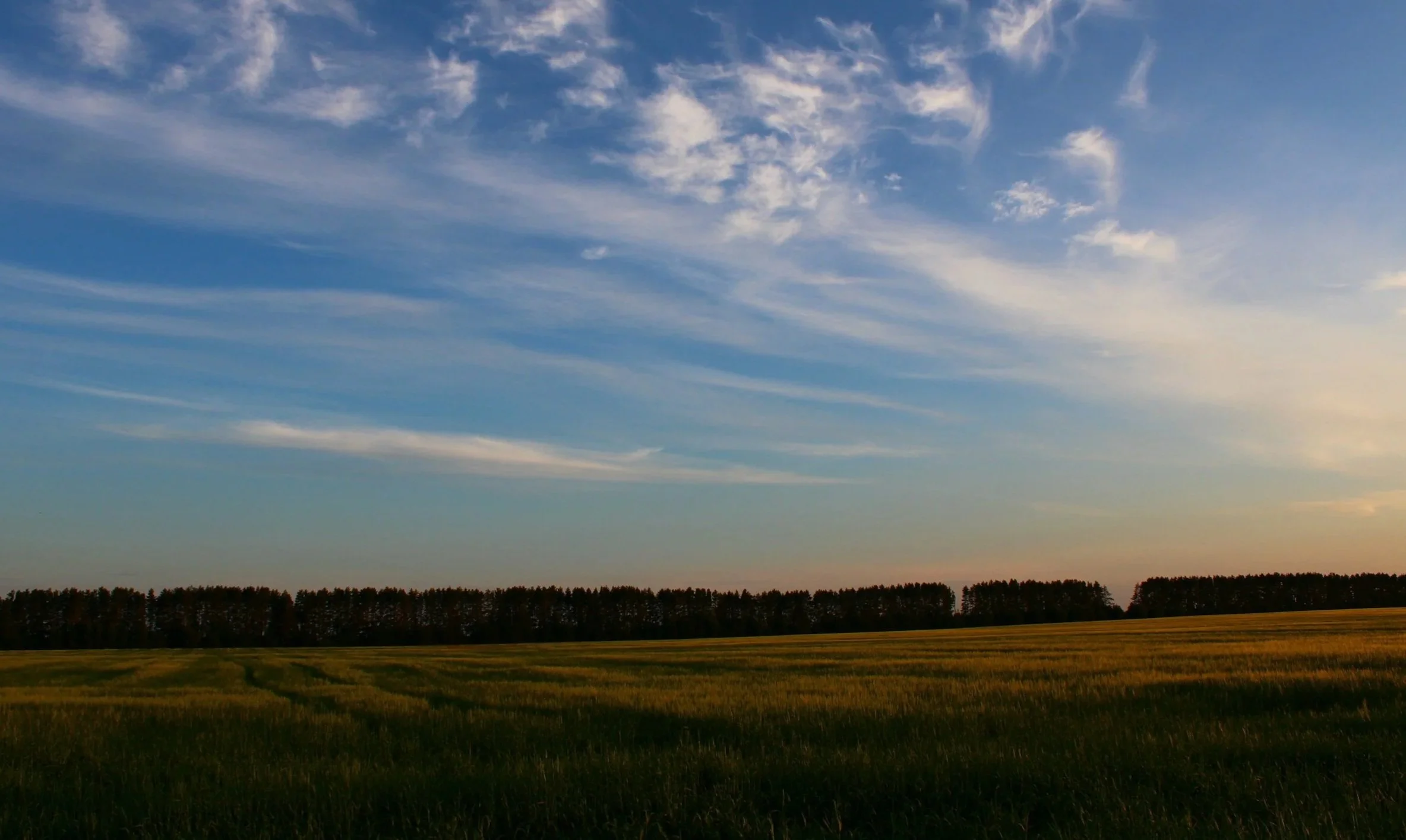 A landscape scene with a wide grassy field, a line of trees in the distance, and a blue sky with scattered clouds.