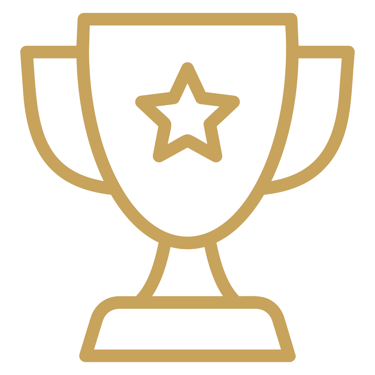 Gold outline trophy with a star in the center.