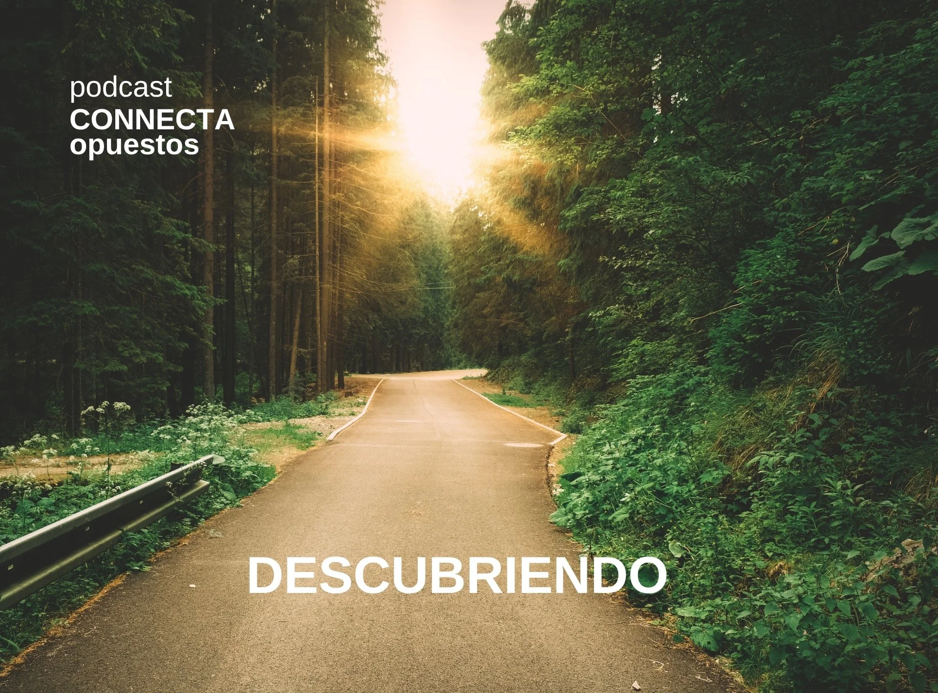 INTRODUCCIÓN AL PODCAST