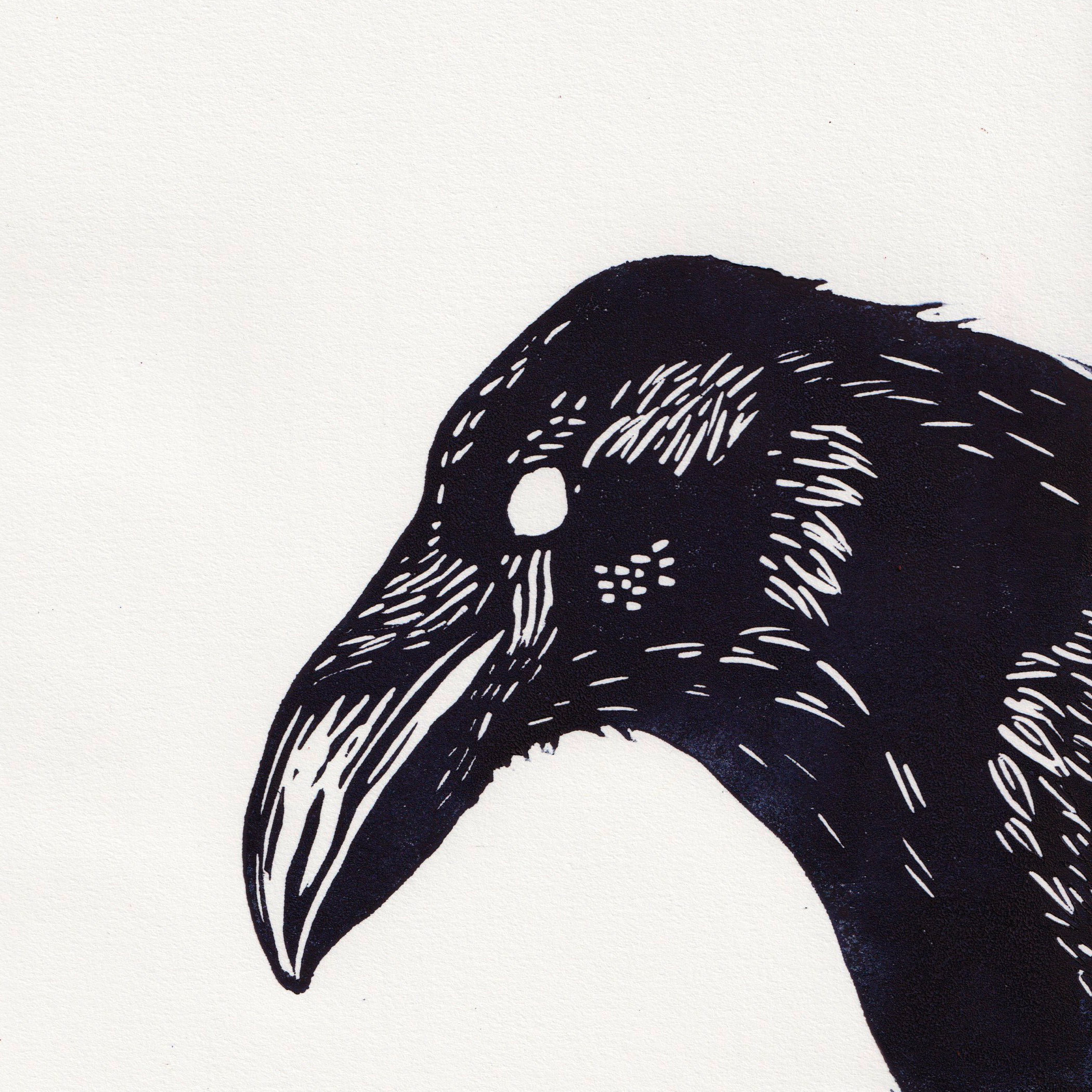DianaVazquez_Raven.png