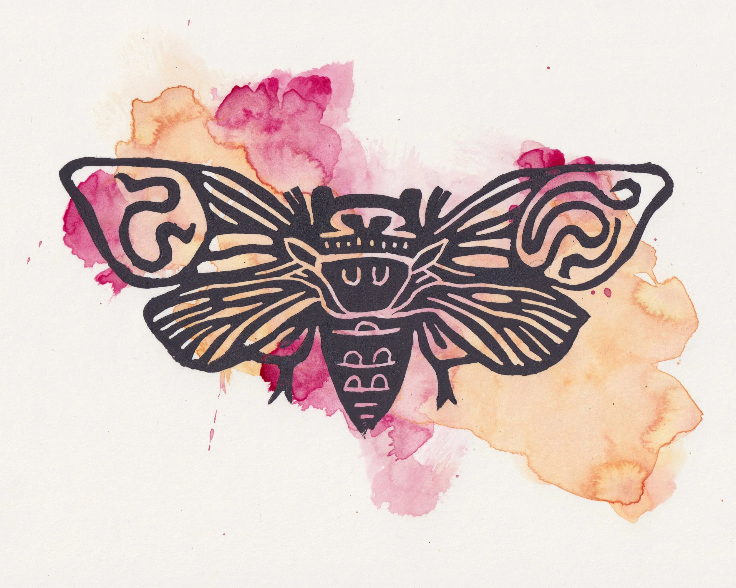 DianaVazquez_Cicada.jpg