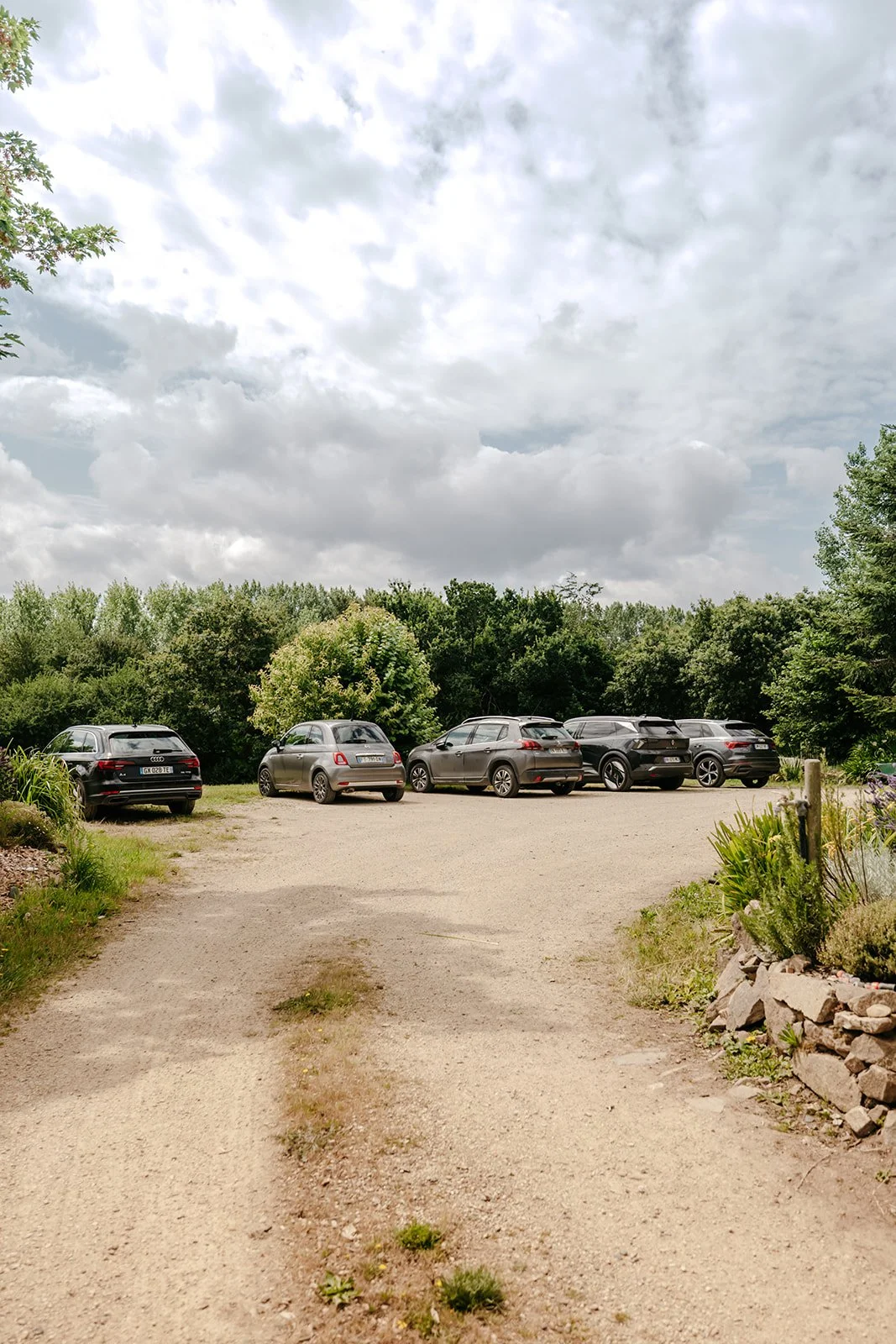 Un parking en plein air avec plusieurs voitures garées, entouré de végétation et de buissons.