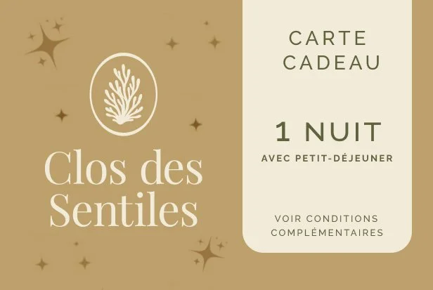 Carte cadeau pour 1 nuit d'hotel