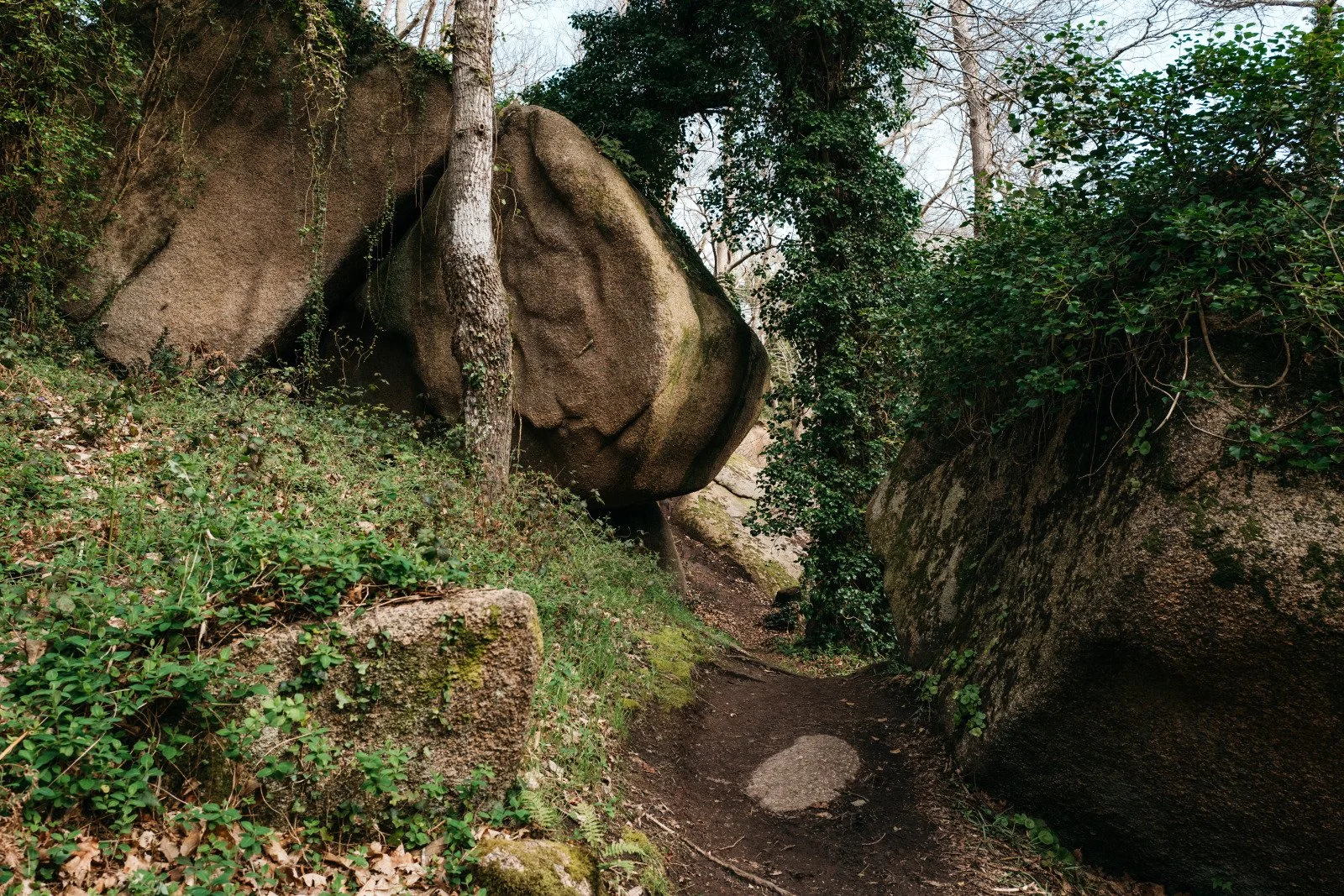 Sentier forestier entouré de grandes roches recouvertes de mousse et de végétation dense, avec des arbres au sommet.