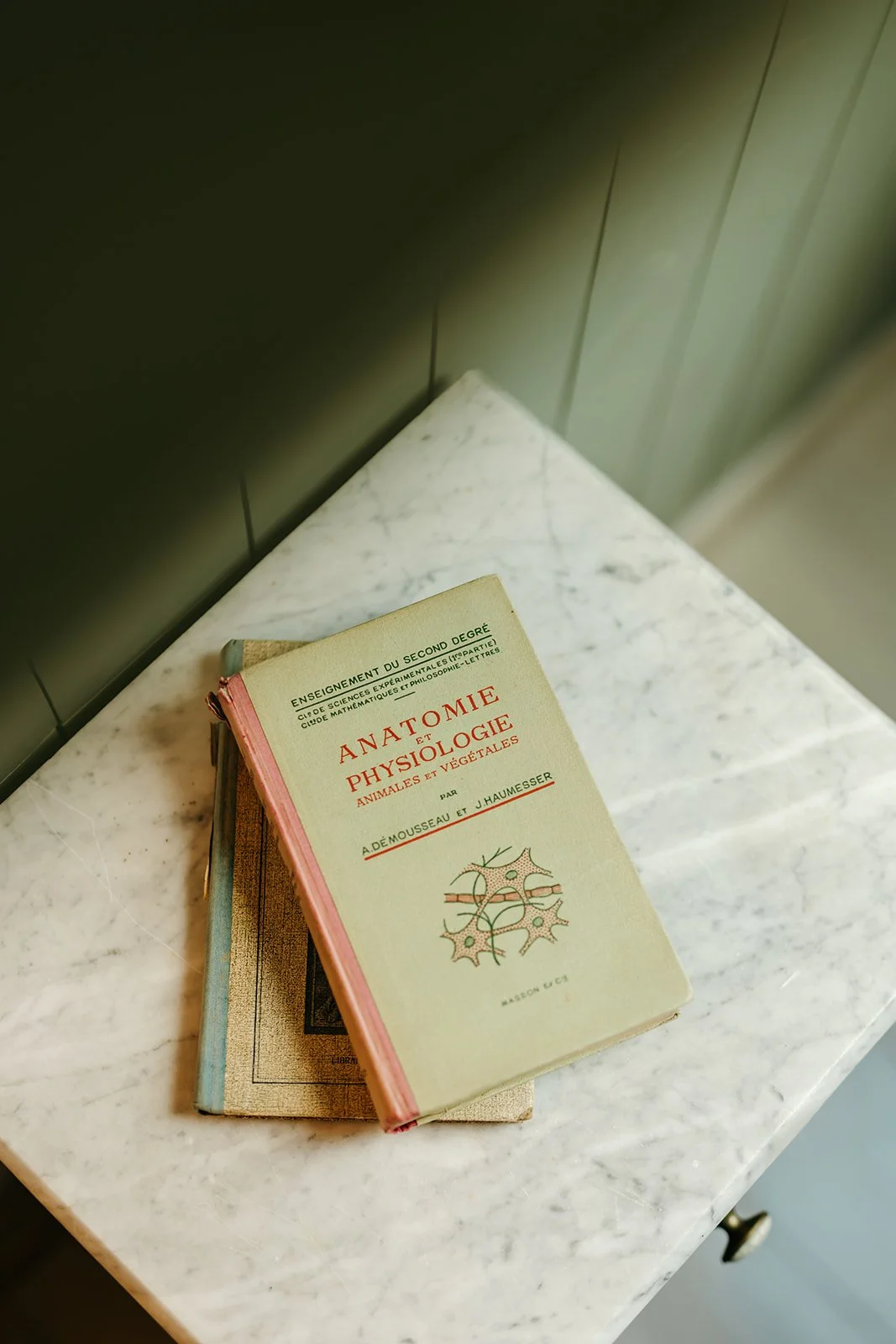 Deux livres empilés sur une table de chevet en marbre, le dessus est un livre sur l'anatomie et la physiologie des animaux et des végétaux.