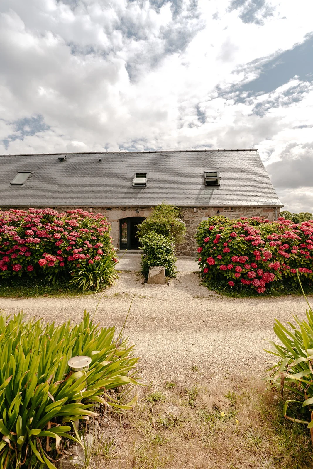 Une maison en pierre avec un toit en ardoise, entourée de buissons de hortensias roses et de plantes vertes.