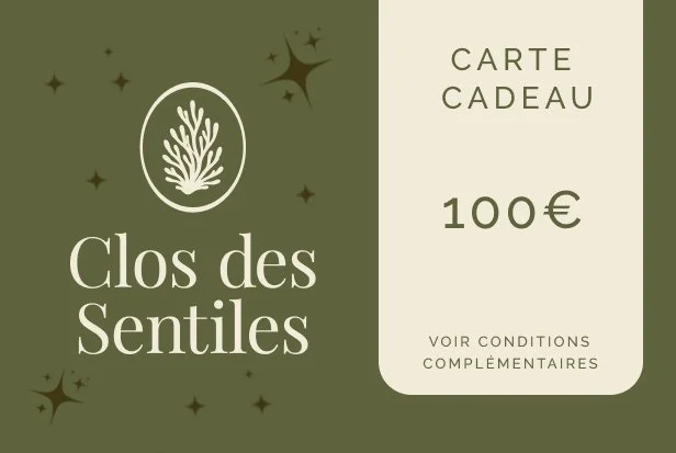Carte cadeau 100 euros