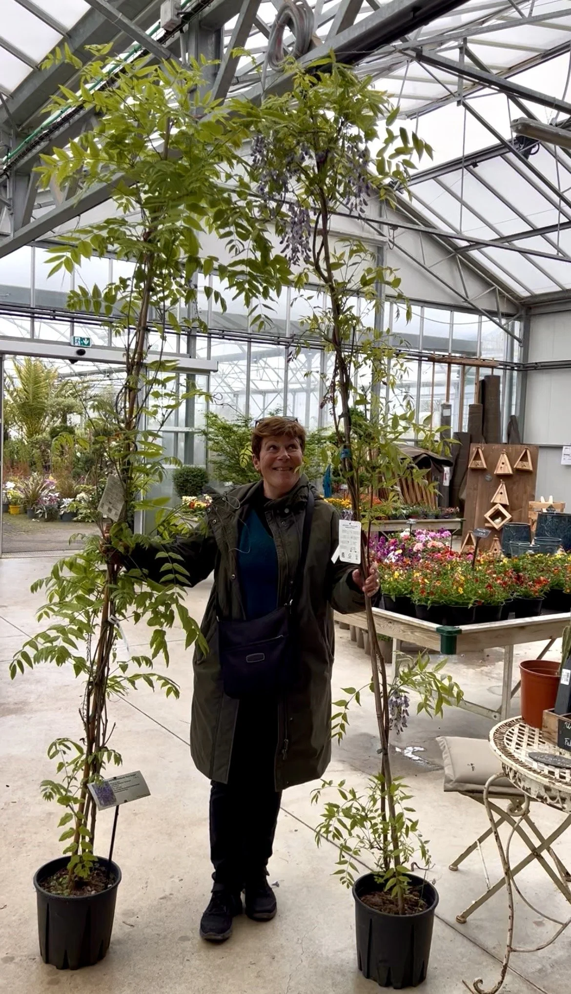 Une femme dans une serre ou un centre botanique, tenant deux jeunes arbres en pot. Elle sourit et regarde vers le haut. En arrière-plan, il y a des étagères avec des fleurs et des éléments décoratifs.