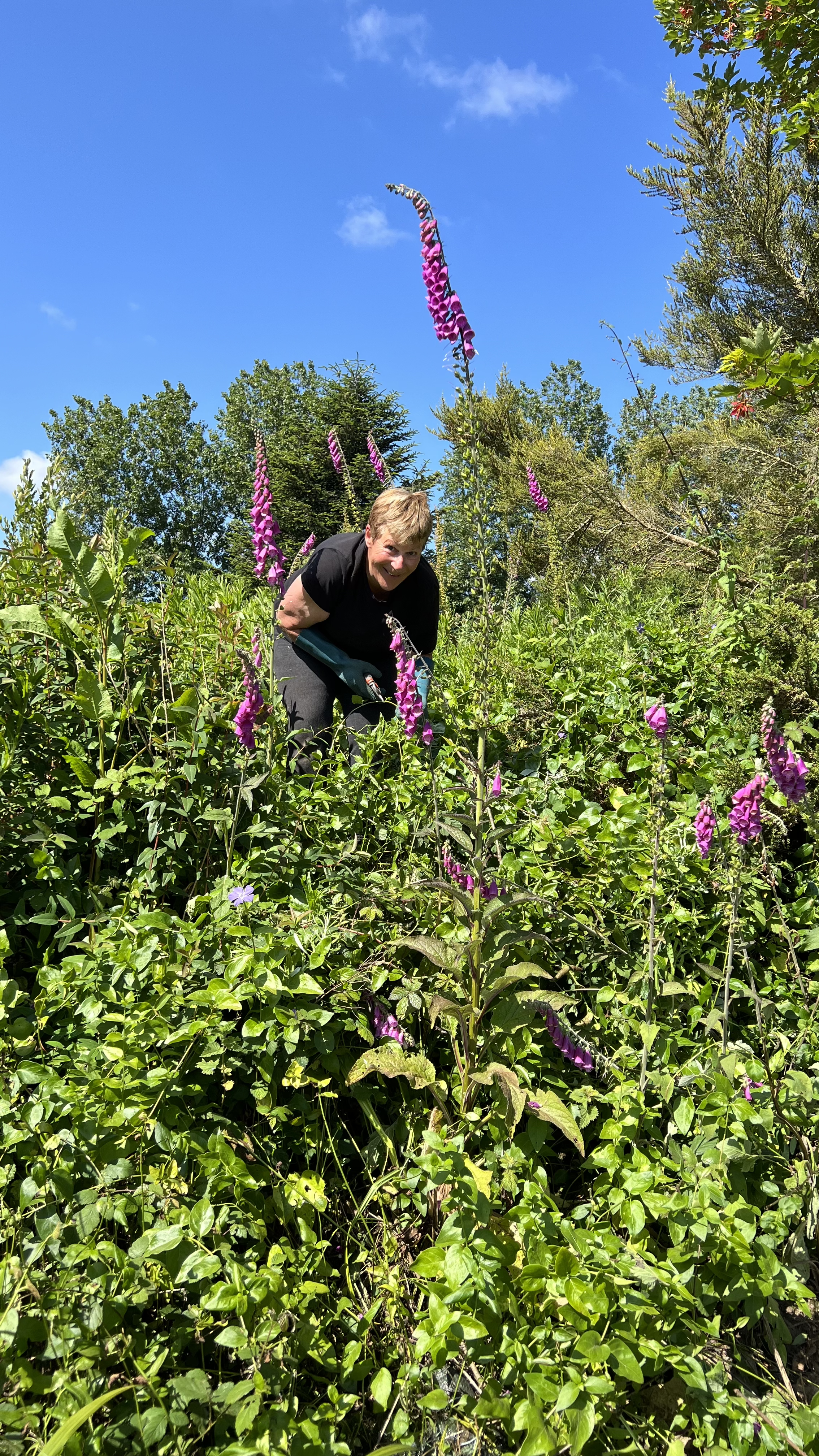 Une femme souriante penchée dans un jardin avec des plantes vertes et des fleurs violettes, sous un ciel bleu ensoleillé.