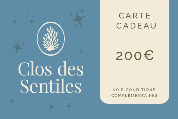 Carte cadeau 200 euros