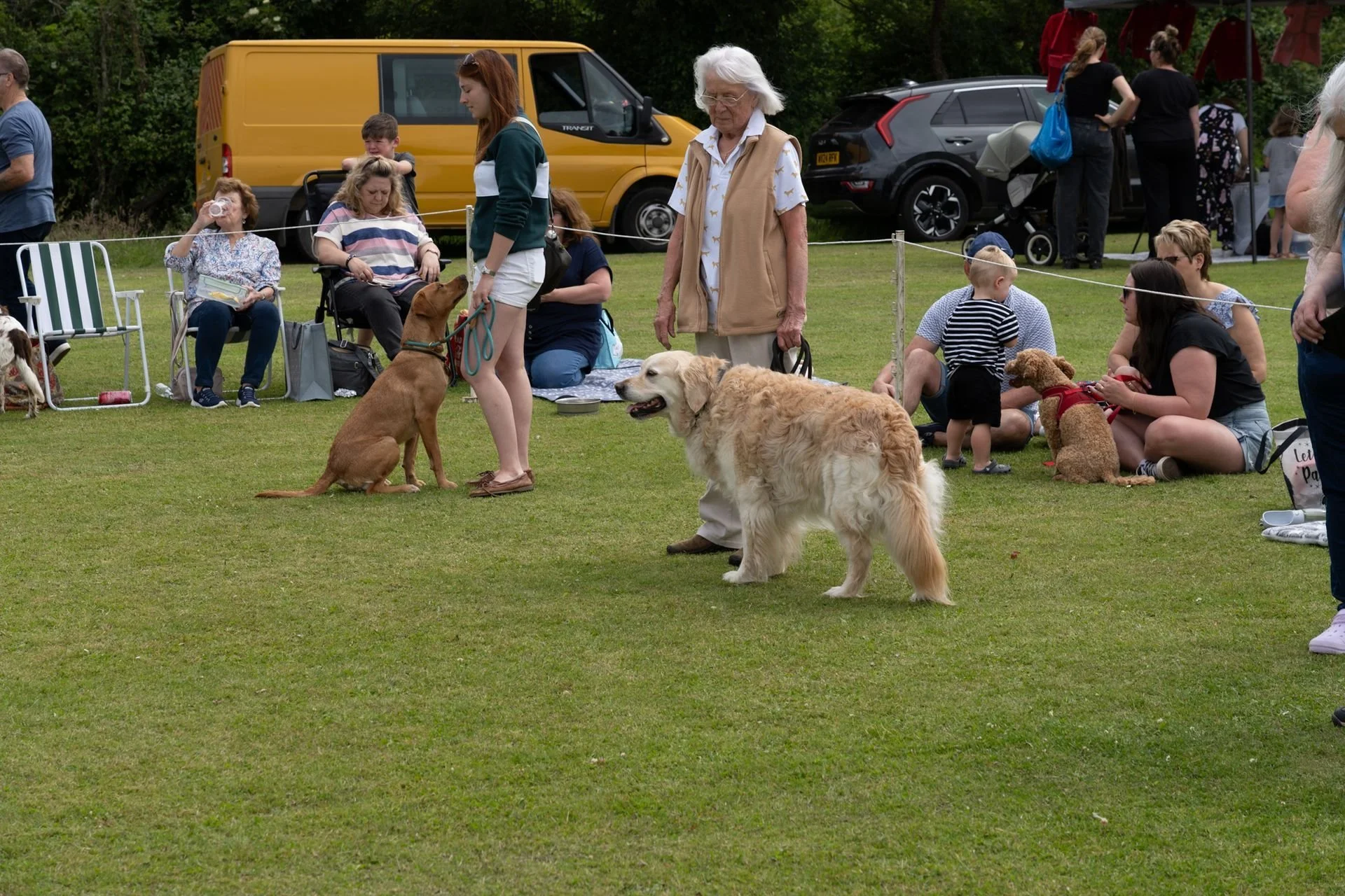 Uley+Dog+Show+2014+LR-20-1920w.jpg