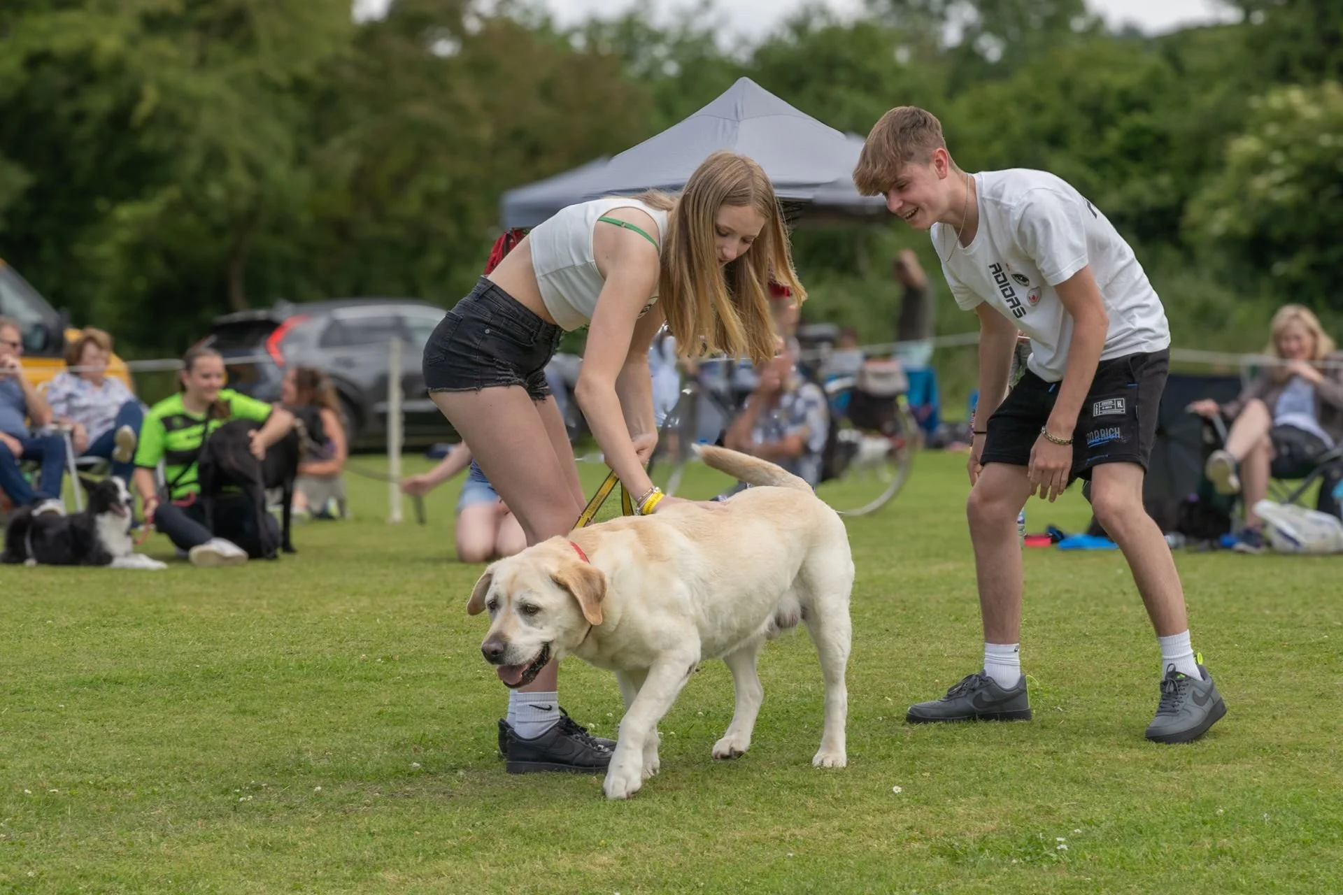 Uley+Dog+Show+2014+LR-209-1920w.jpg