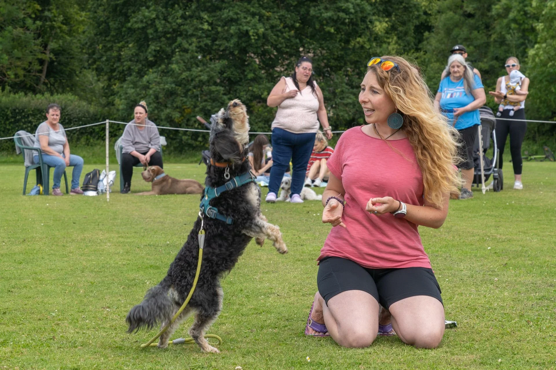 Uley+Dog+Show+2014+LR-90-1920w.jpg