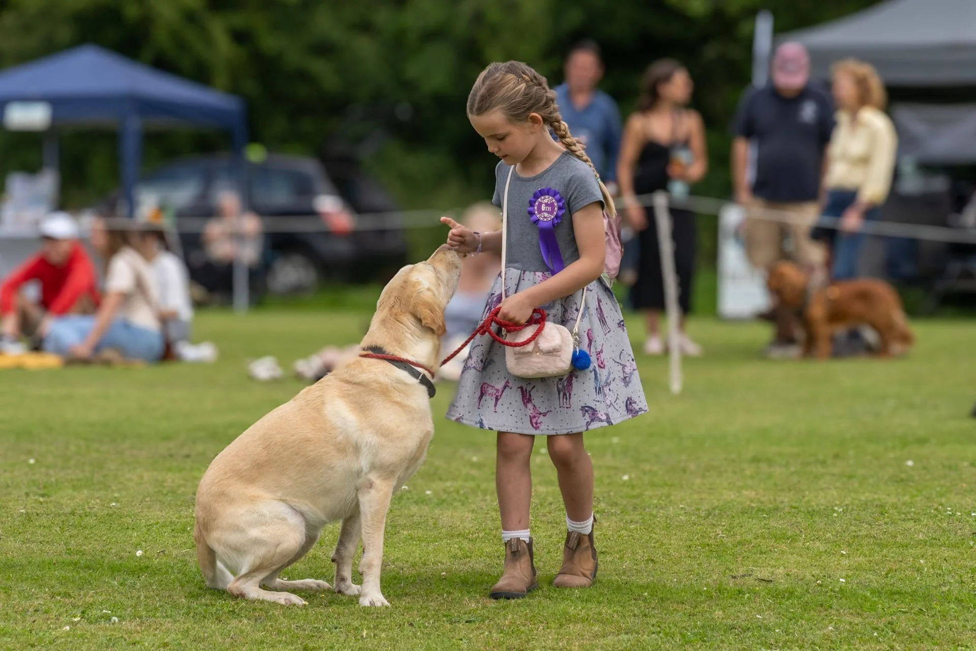 Uley+Dog+Show+2014+LR-172-1920w.jpg
