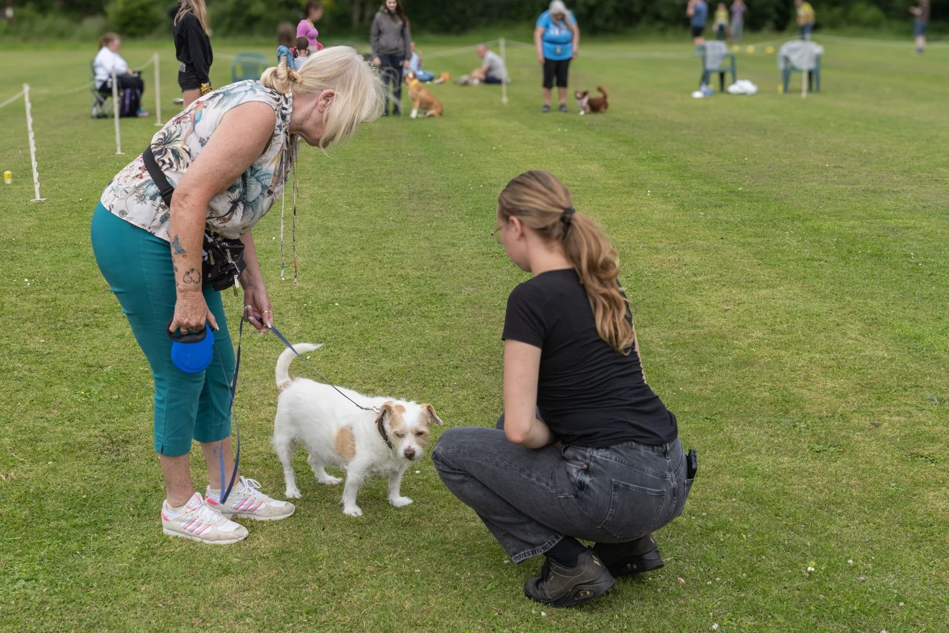 Uley+Dog+Show+2014+LR-62-1920w.jpg