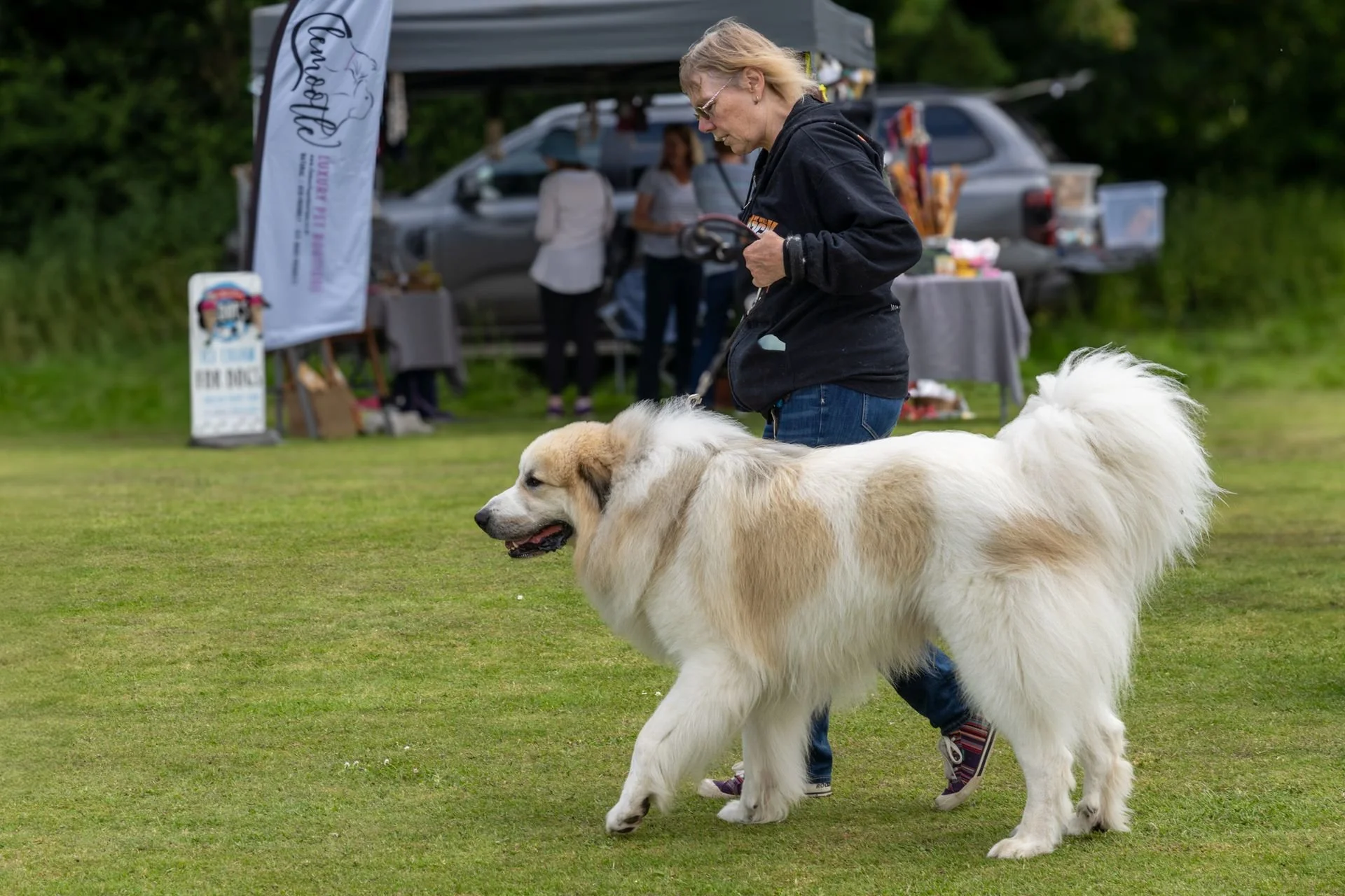Uley+Dog+Show+2014+LR-41-1920w.jpg