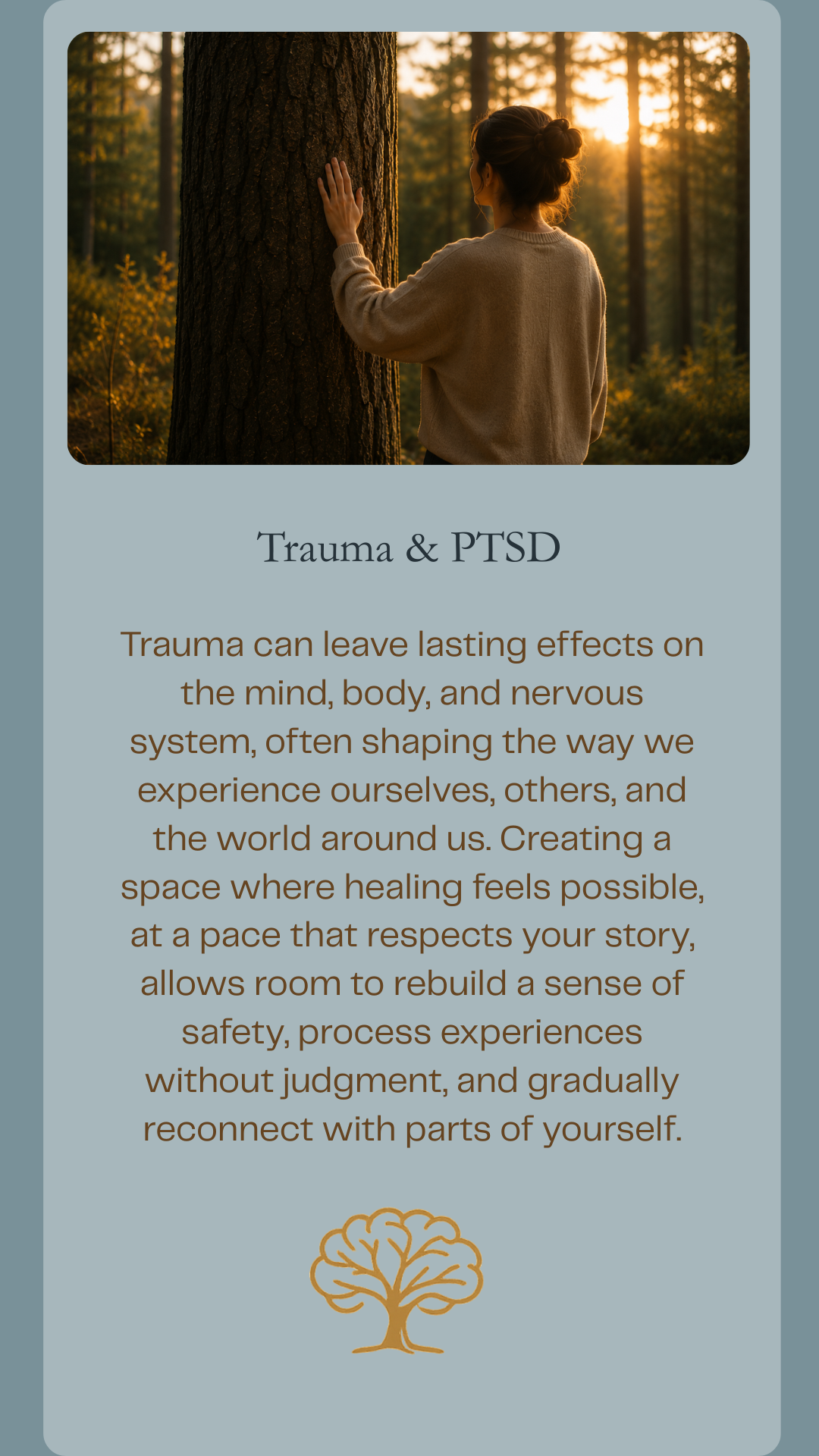 Person placing a hand on a large tree in a peaceful forest, symbolizing trauma recovery, PTSD treatment, grounding, safety, and nervous system regulation.