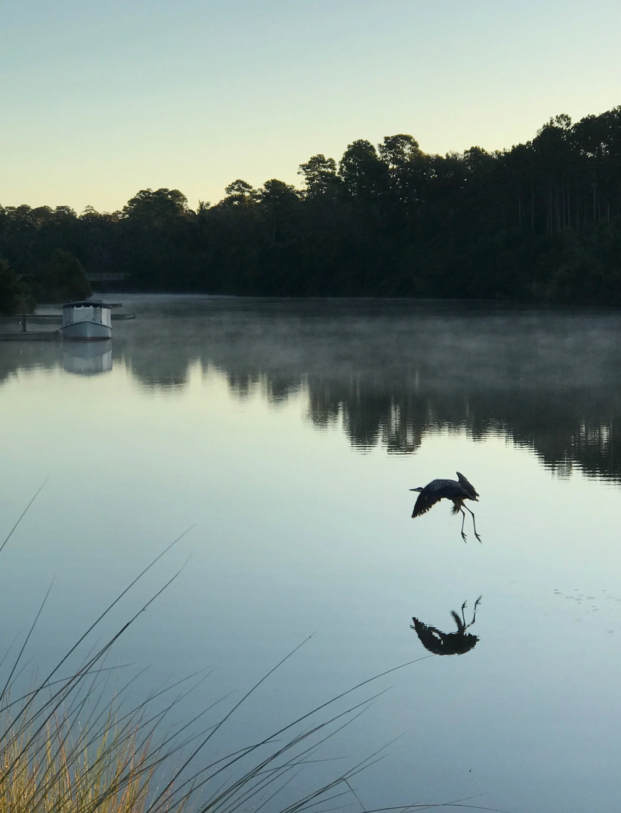 Inland water trail - Palmetto Bluff in the morning