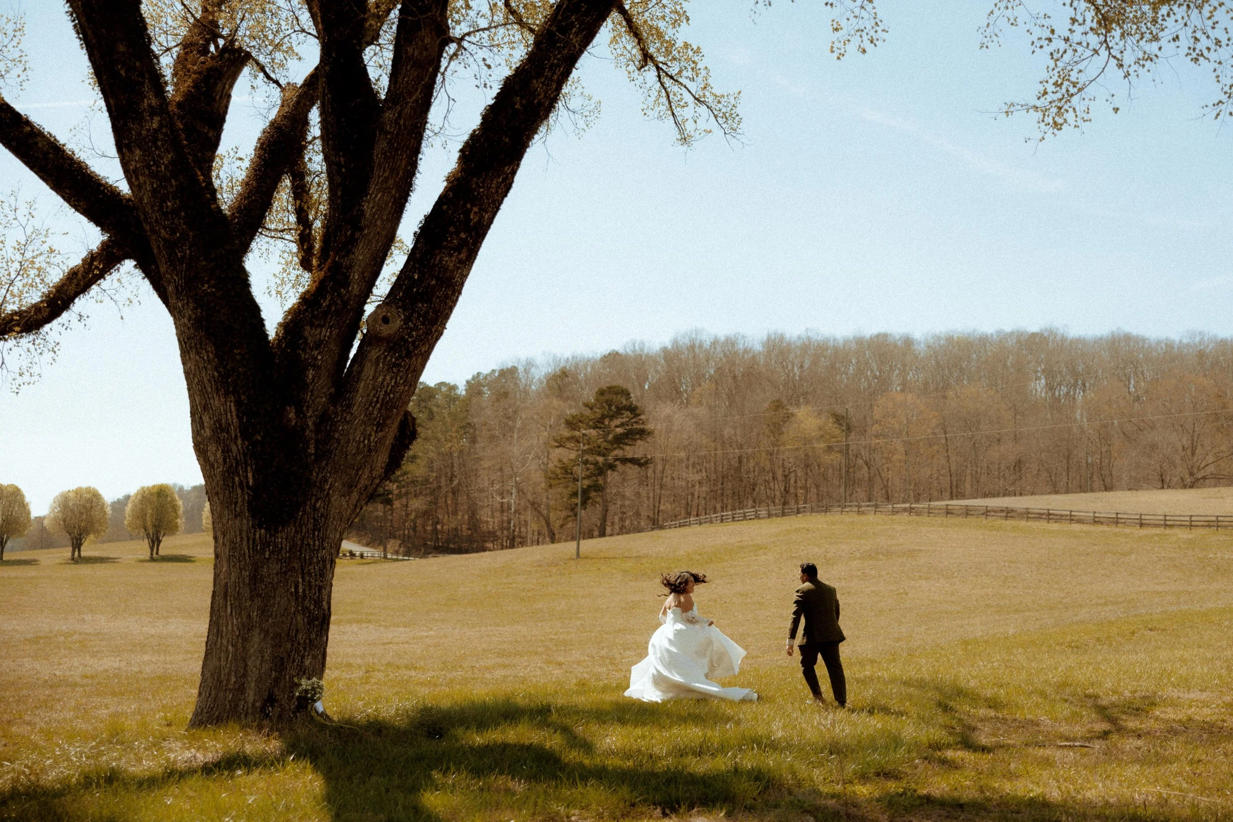 A bride and groom holding hands and walking in an open field with trees and a fence in the background, with a large tree in the foreground.