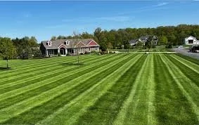Advanced Service (Large Yard)