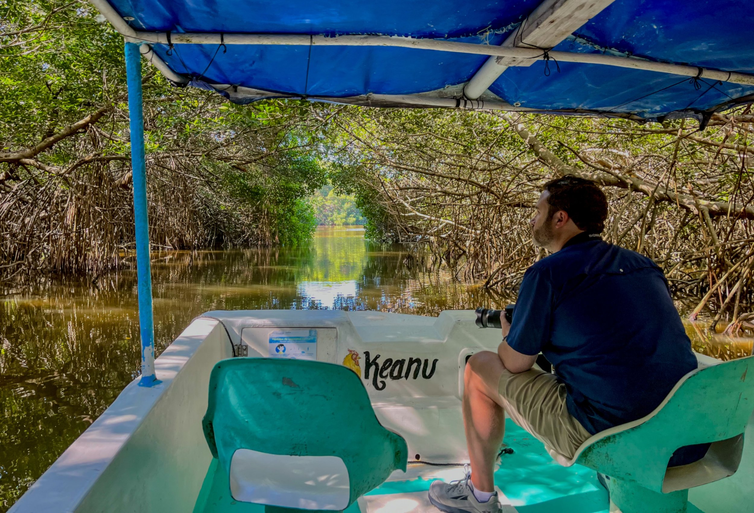 celestun mangroves.JPEG